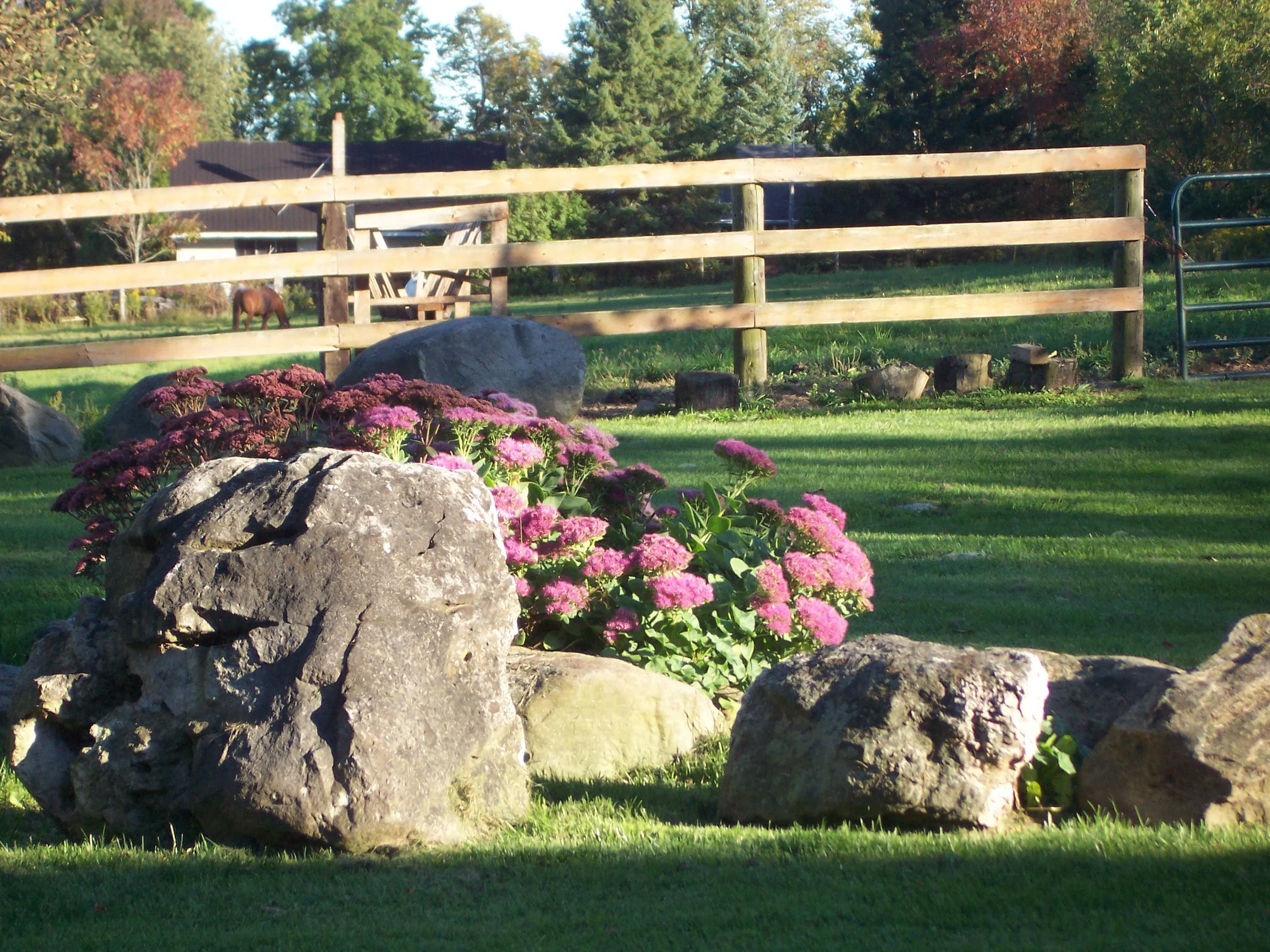 Early fall