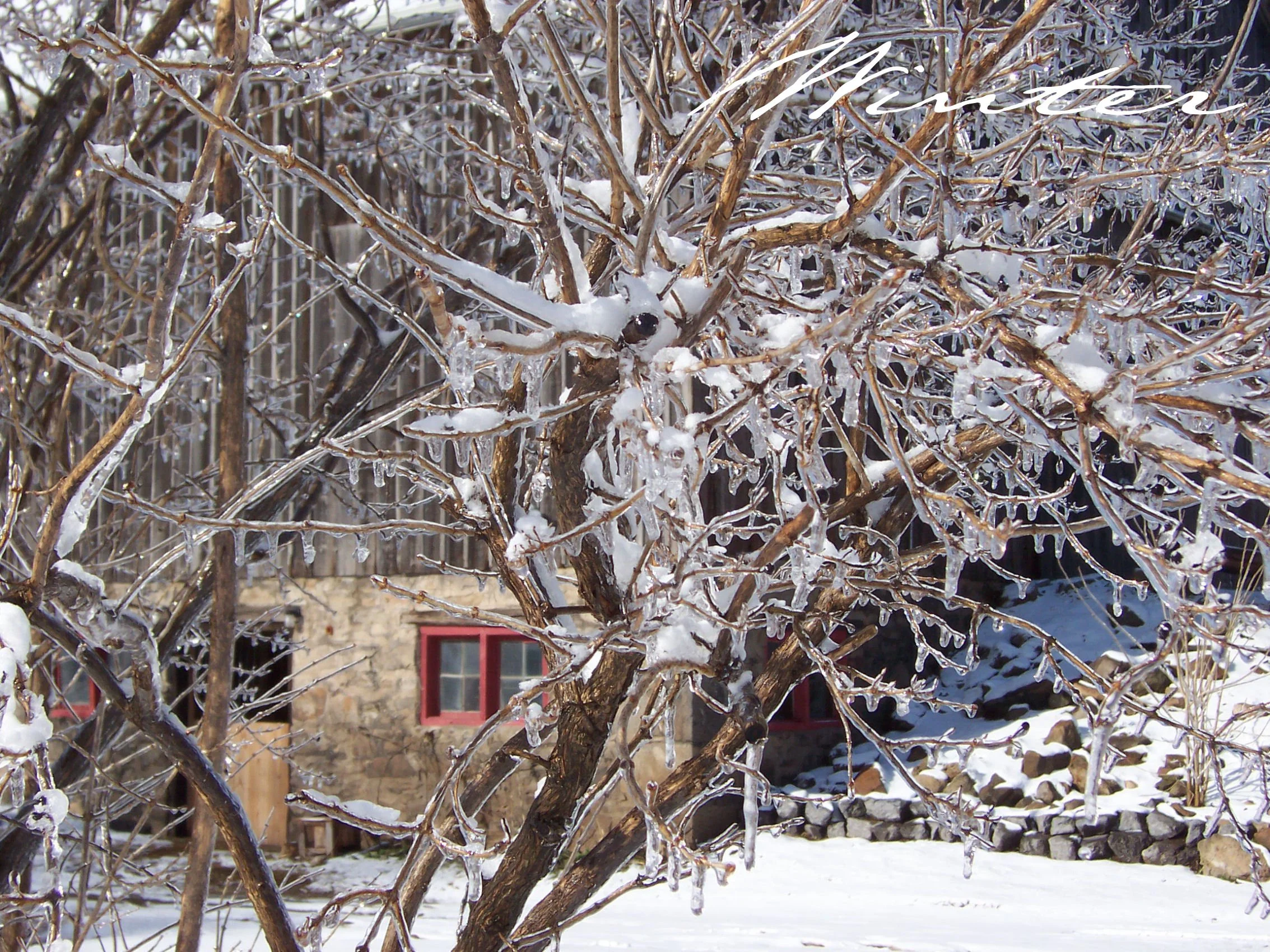 Barn in winter