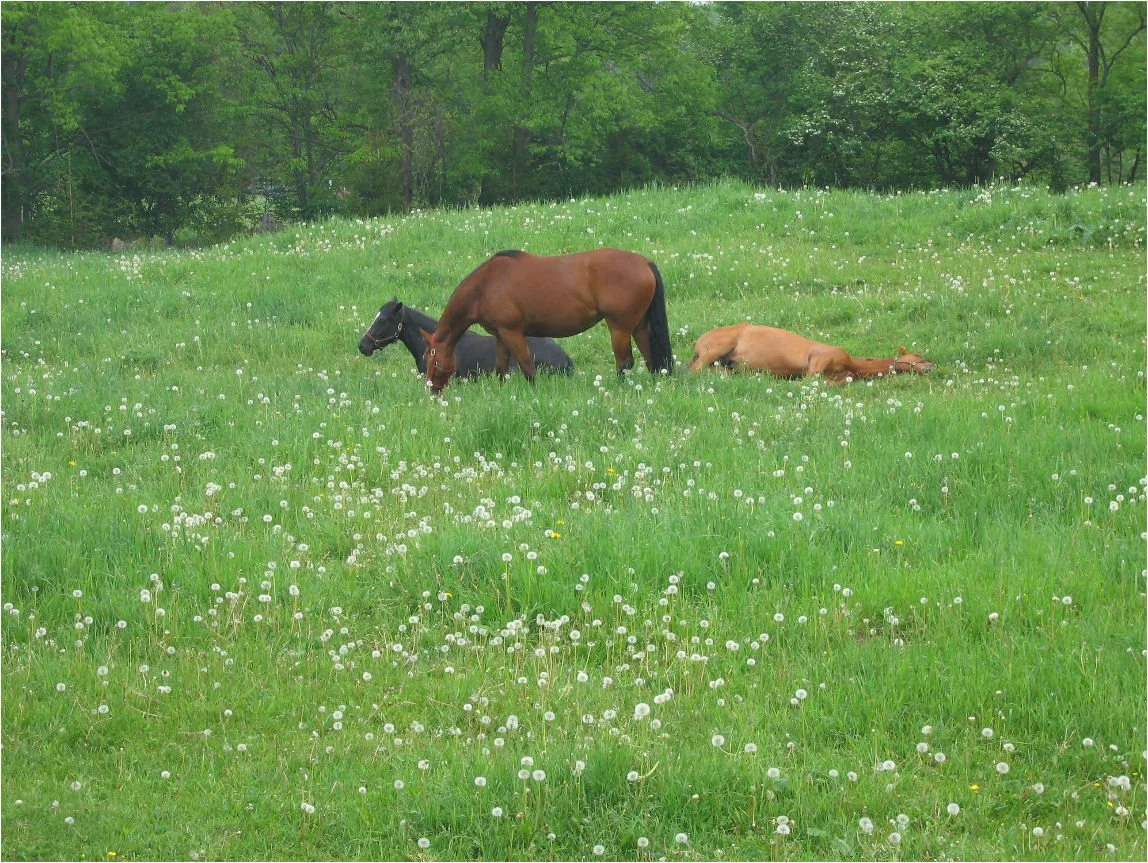 Finally spring!