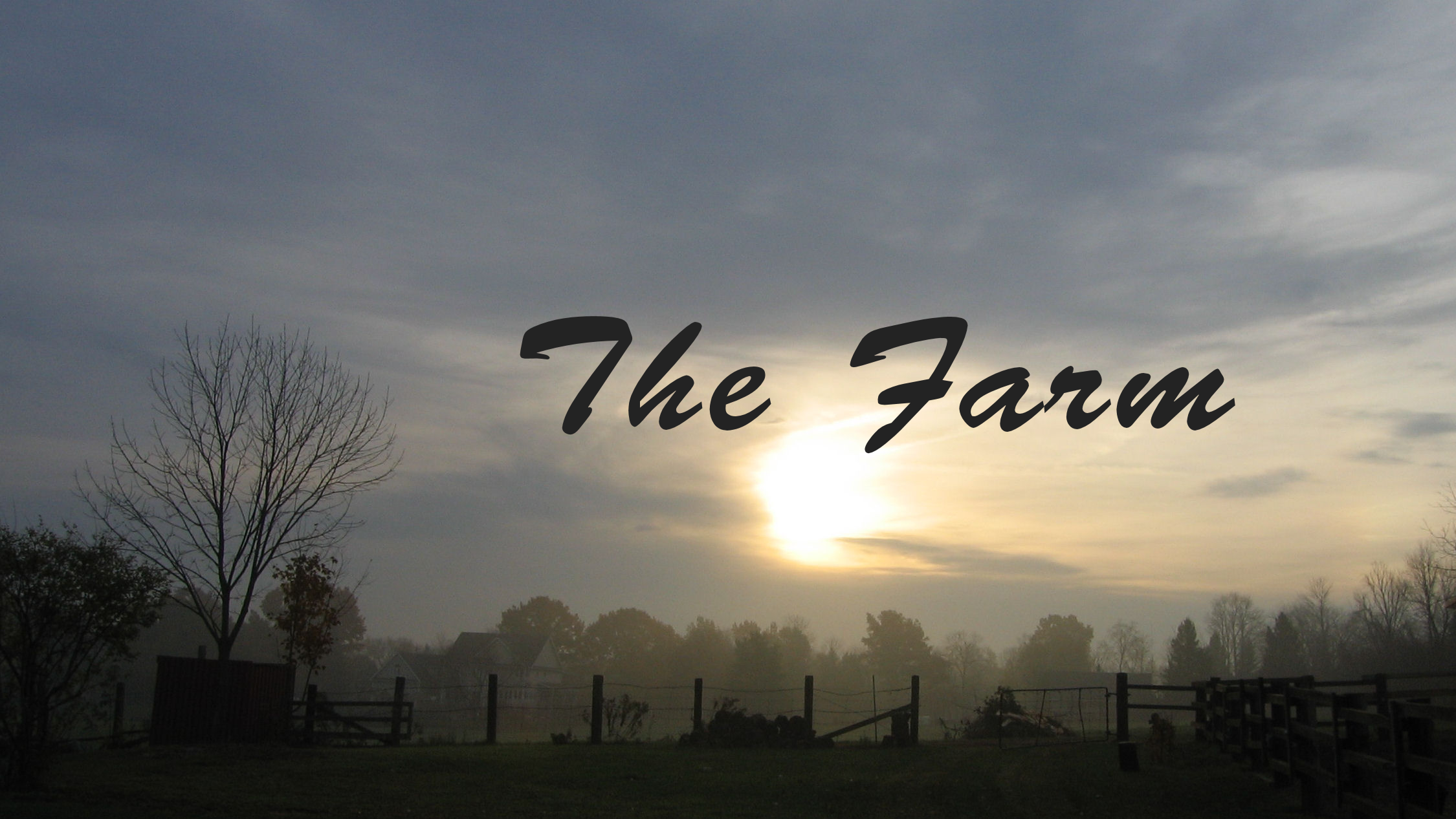 THE FARM