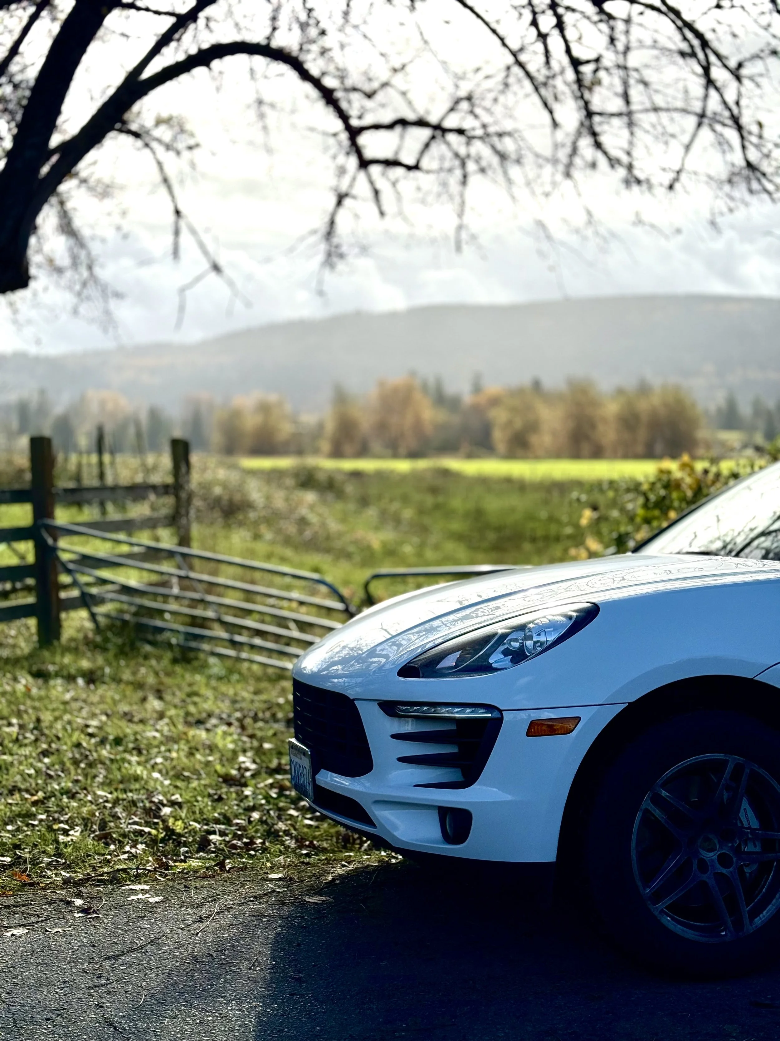 White Porsche with scenic background