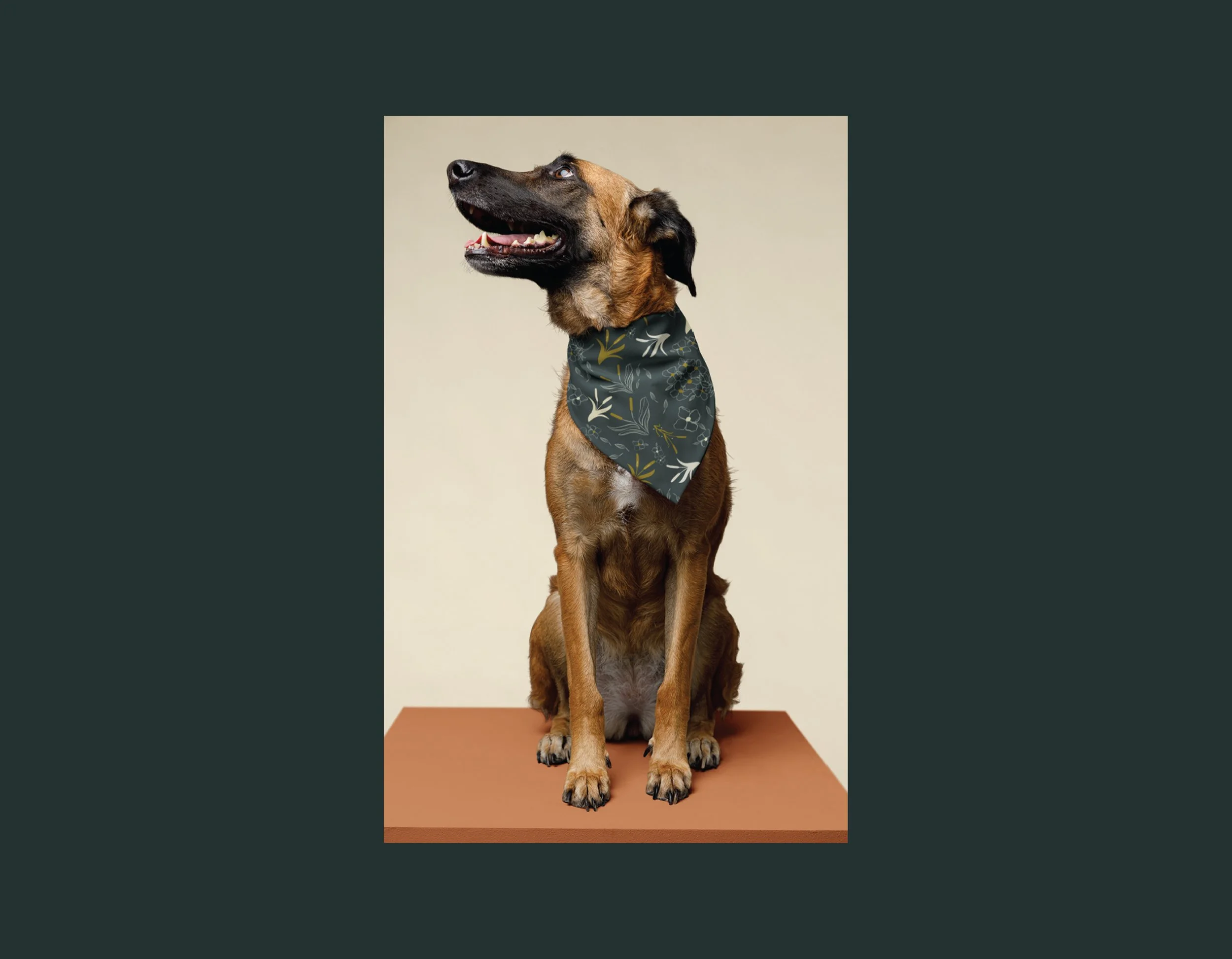 DCFA- Bandana Mockup.jpg