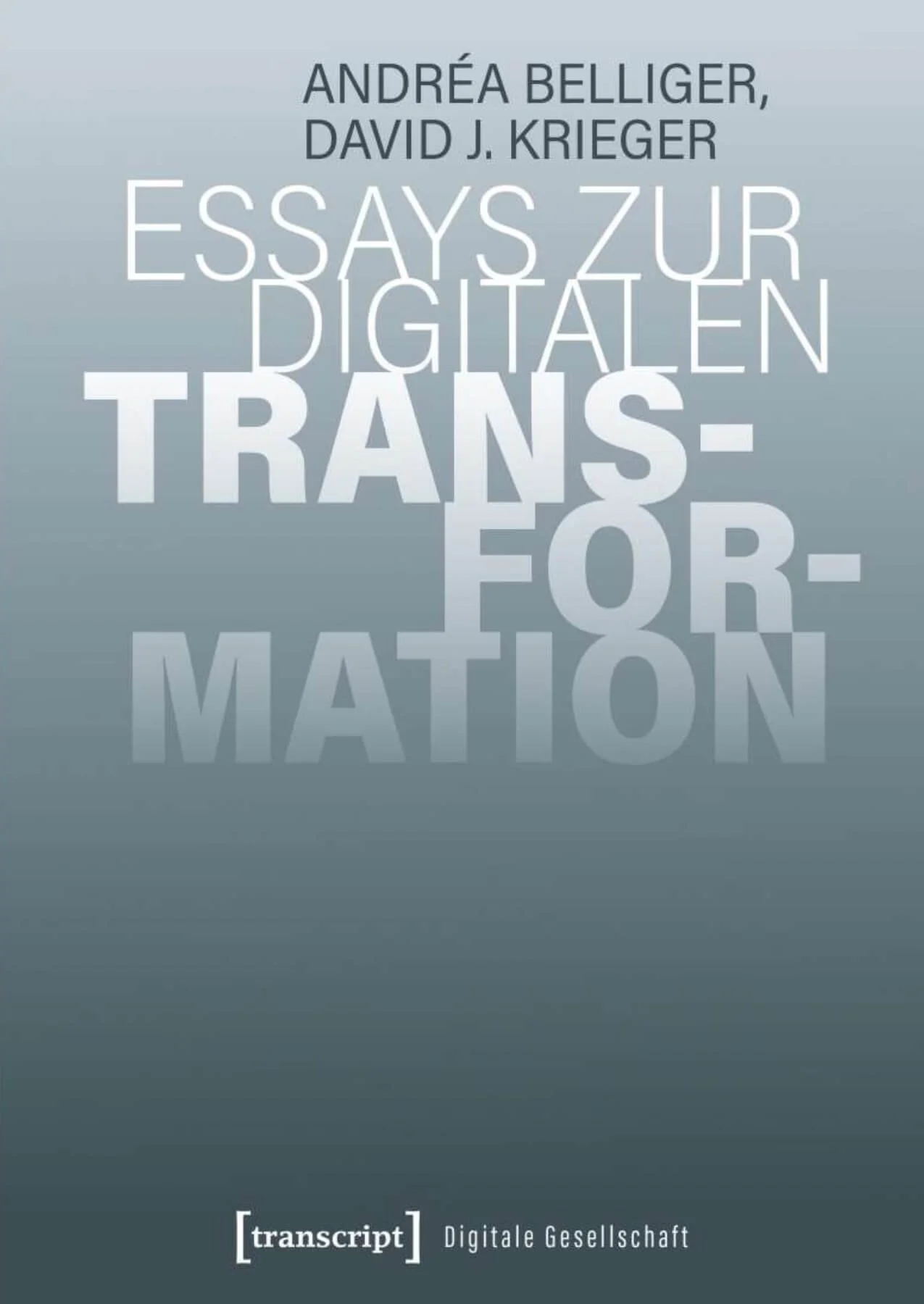 Essays zur Digitalen Transformation