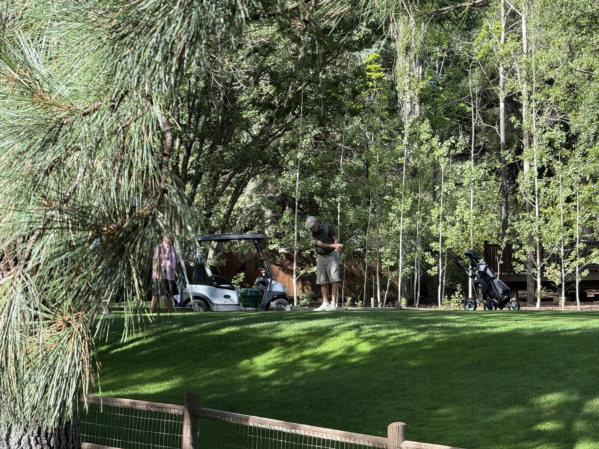 Escape the Heat: A Weekend in Pinetop