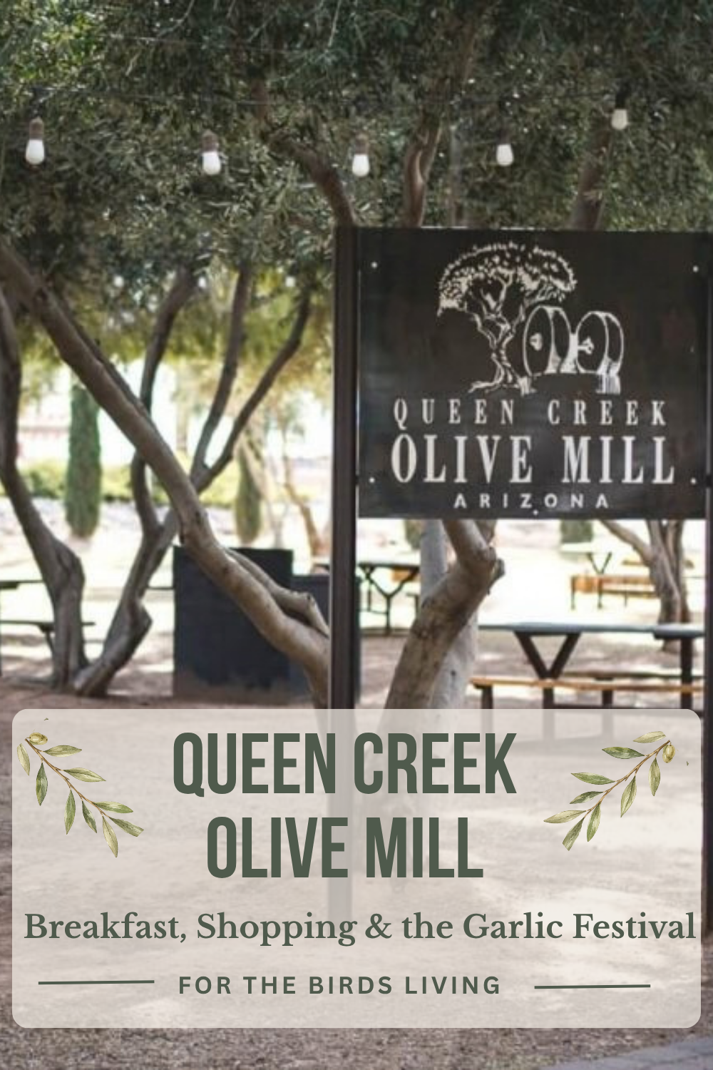 A Morning at Queen Creek Olive Mill: Breakfast, Shopping and the Garlic Festival