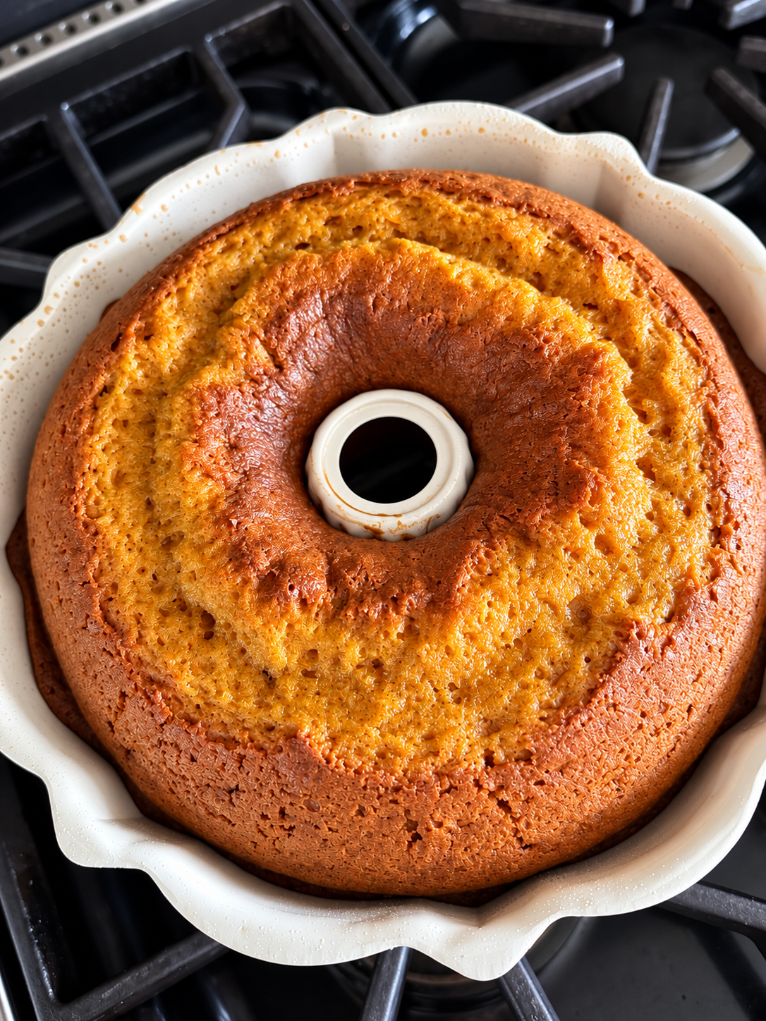 Warm pumpkin cake close-up-3.png