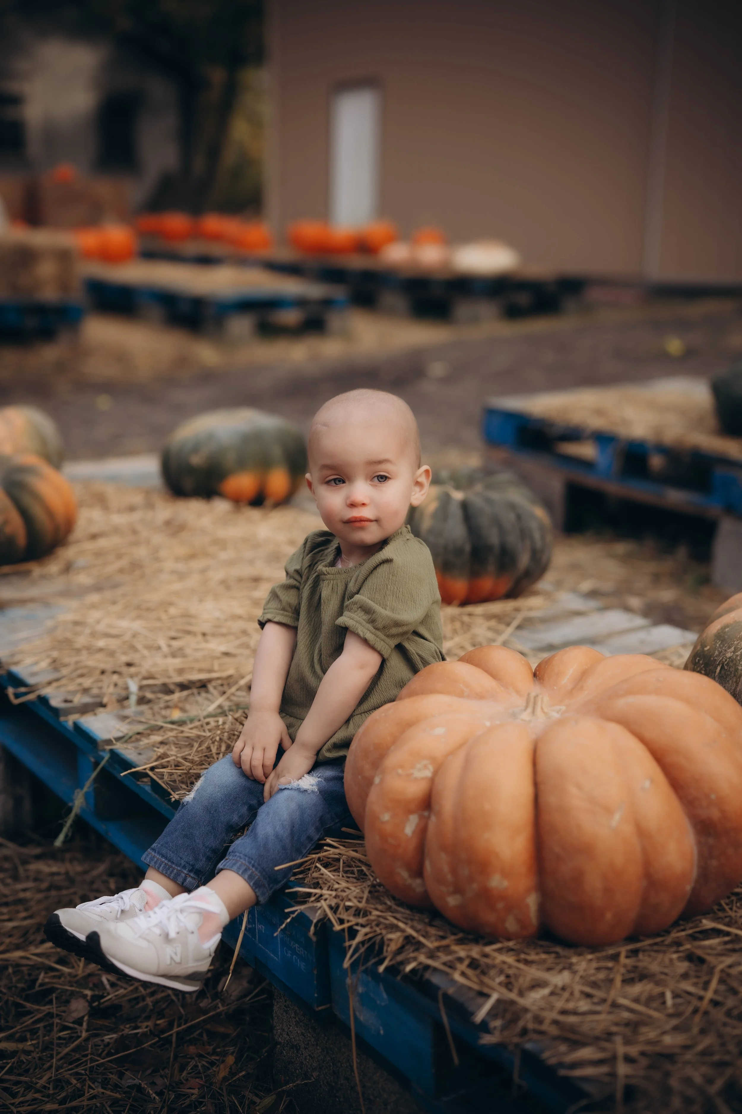 A young child sitting outdoors next to a large pumpkin, at a pumpkin patch with other pumpkins in the background.