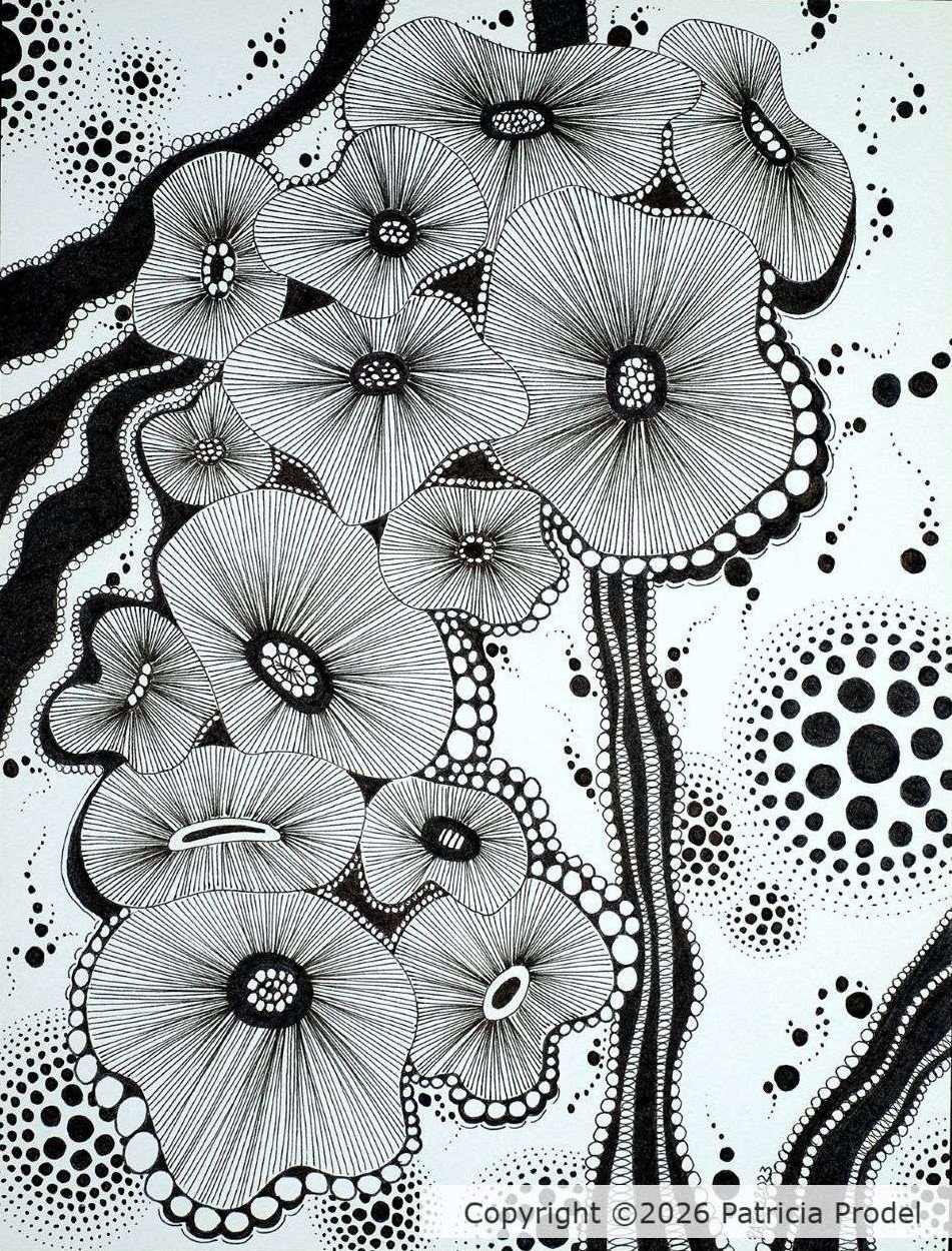 dessin-fait-main-encre-geometrie-sphères-fleurs-abstrait-artiste-imaginaire-lignes.jpg
