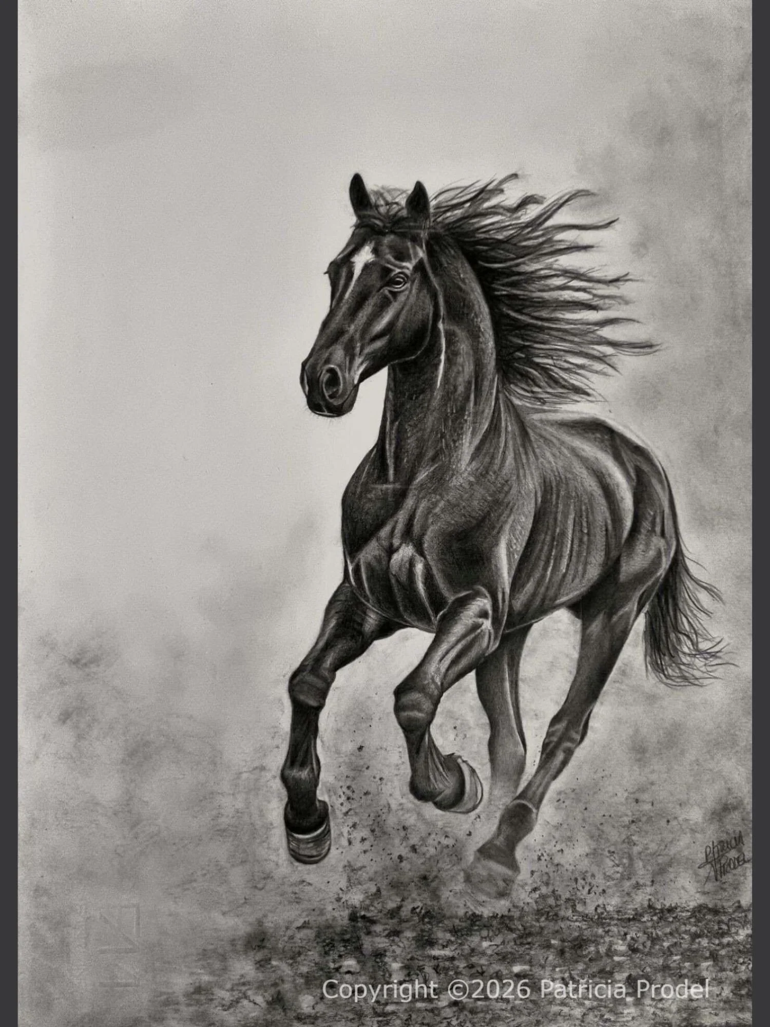 L'étalon noir