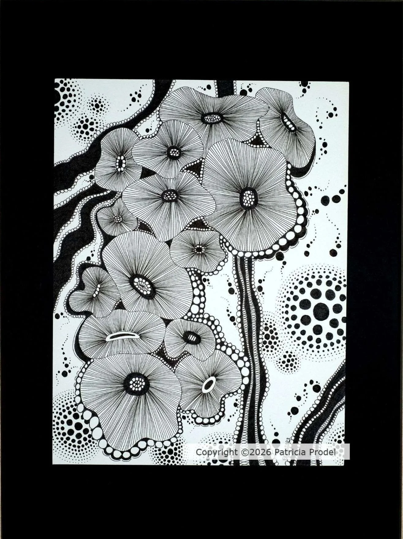 Jardin d'Encre 27,7x21,1 cm cadre 30x40 - 150€ -