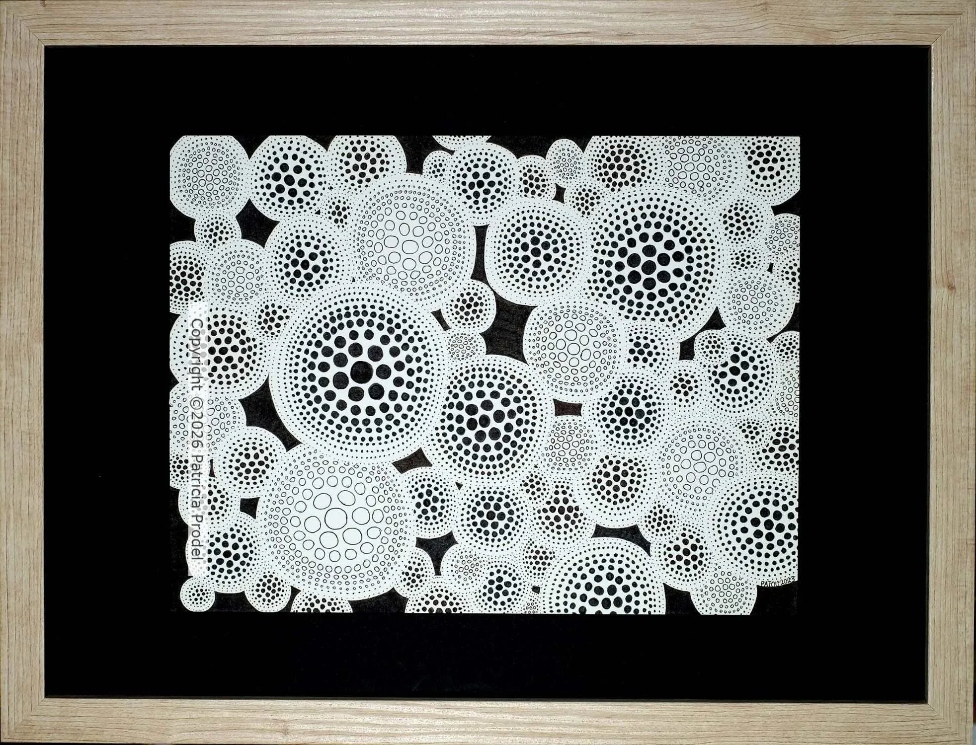MicroMonde 21x27,8 cm cadre 30x40 170€