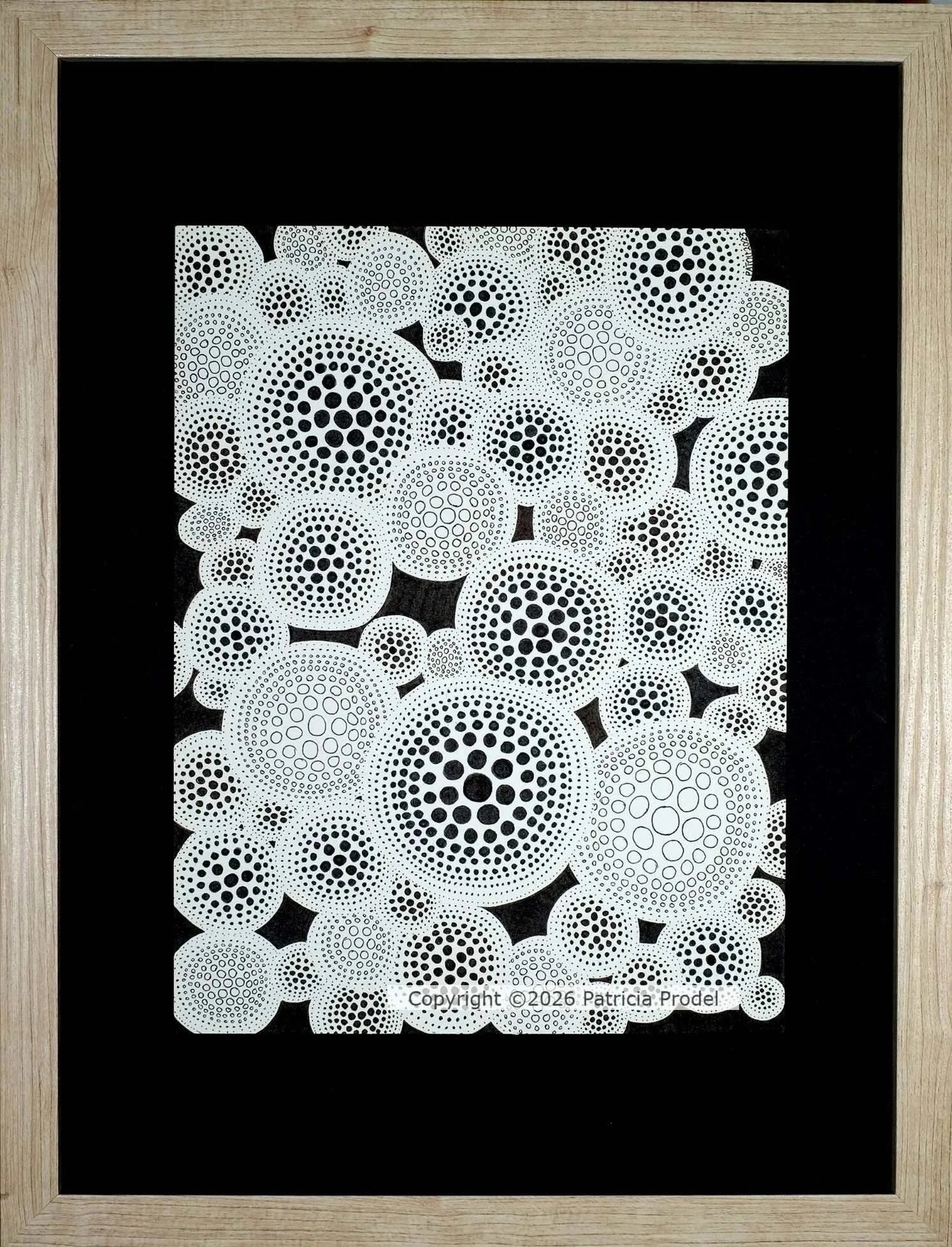 MicroMonde 21x27,8 cm cadre 30x40 cm 170€
