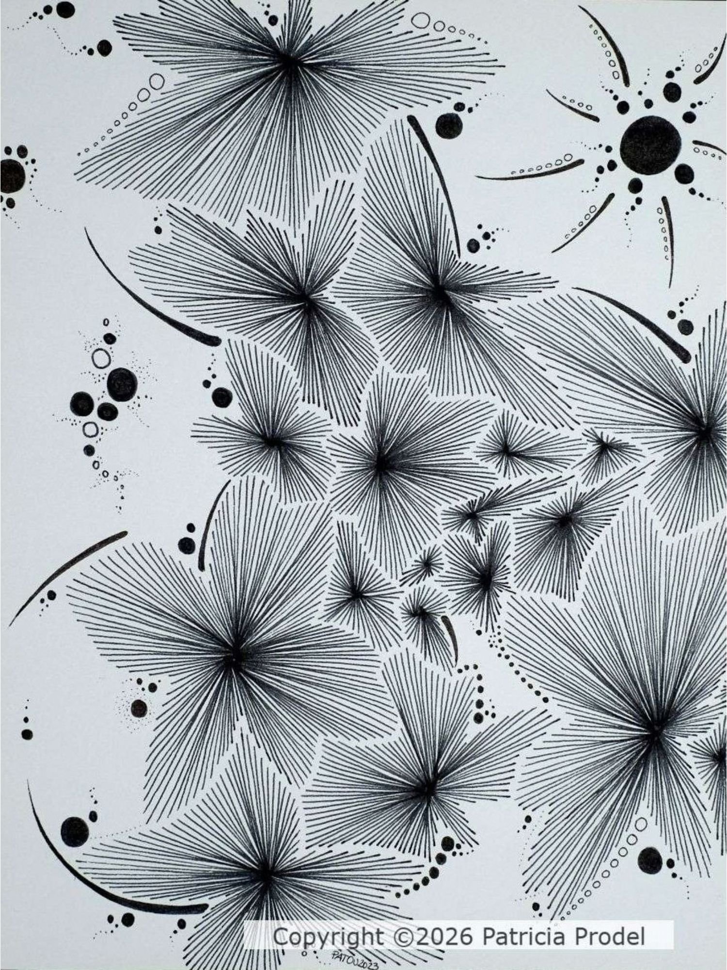 dessin-fait-main-encre-geometrie-traits-fleurs-abstrait-artiste-imaginaire-nuances-lignes.jpg