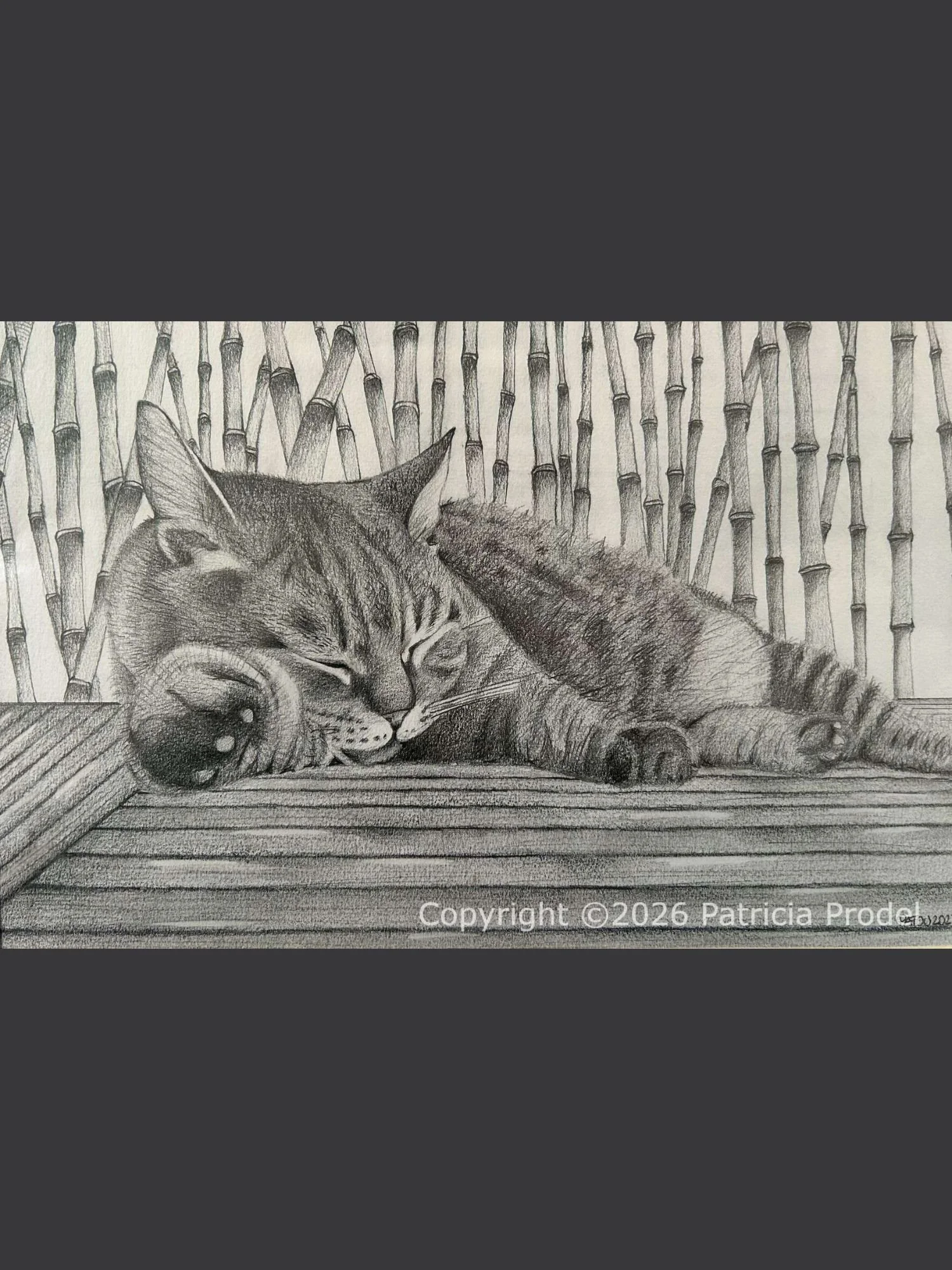 Portrait chat