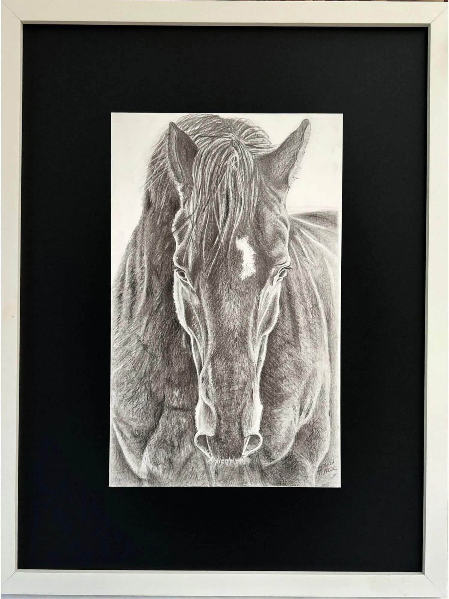 dessin-personnalise-fait-main-d-apres-photo-crayon-animal-portrait-tete-cheval-chat-chien-idee-cadeau-souvenir-artistique-portrait-realiste-portrait.jpg