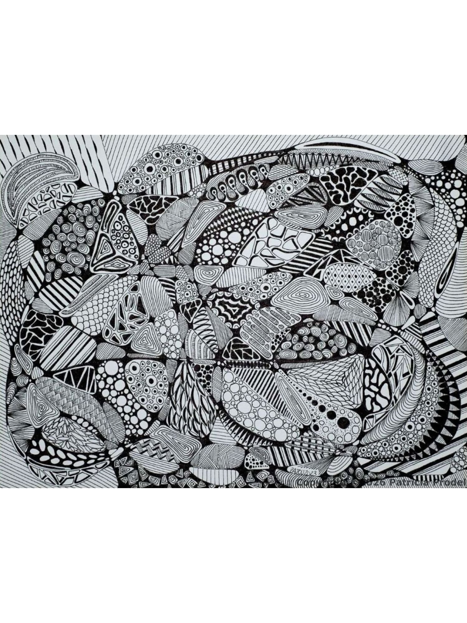 dessin-fait-main-encre-geometrie-courbes-abstrait-artiste-imaginaire-nuances-lignes-ombres-noir-et-blanc-motifs.jpg