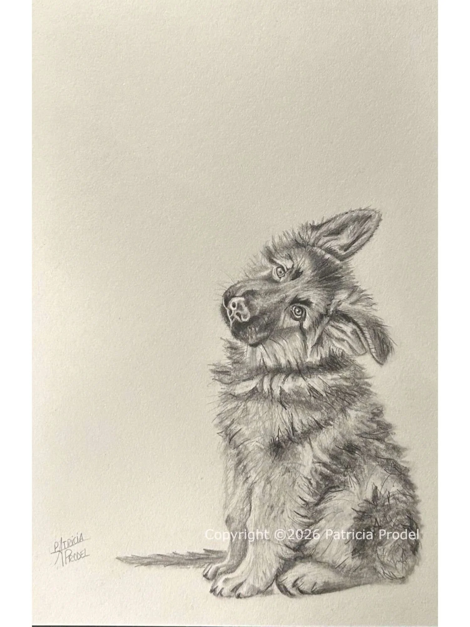 dessin-personnalise-fait-main-d-apres-photo-crayon-animal-portrait-cheval-chat-chien-idee-cadeau-portrait-souvenir-artistique-realiste.jpg