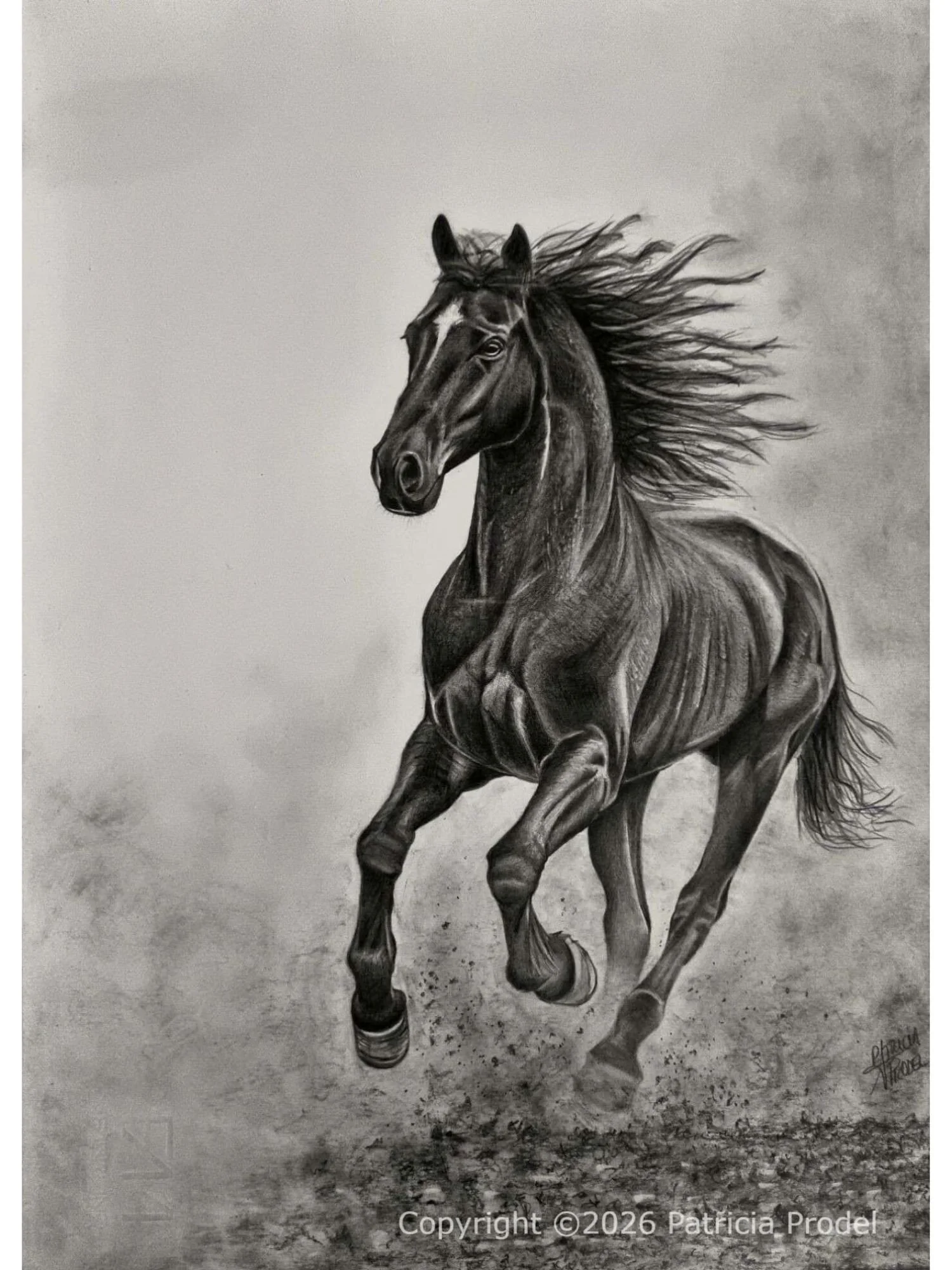 dessin-personnalise-fait-main-d-apres-photo-crayon-animal-portrait-cheval-chat-chien-idee-cadeau-portrait-souvenir-artistique-portrait-realiste.jpg
