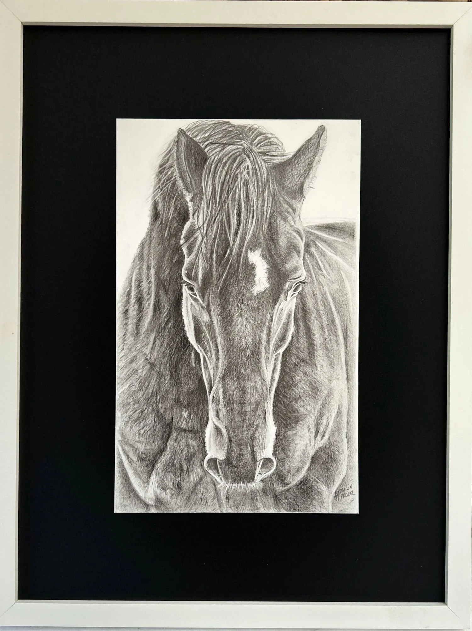 dessin-personnalise-fait-main-d-apres-photo-crayon-animal-portrait-tete-cheval-chat-chien-idee-cadeau-souvenir-artistique-portrait-realiste-portrait.jpg