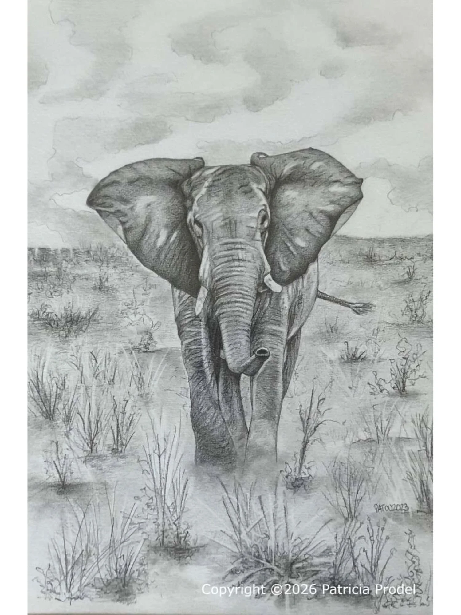 Eléphant