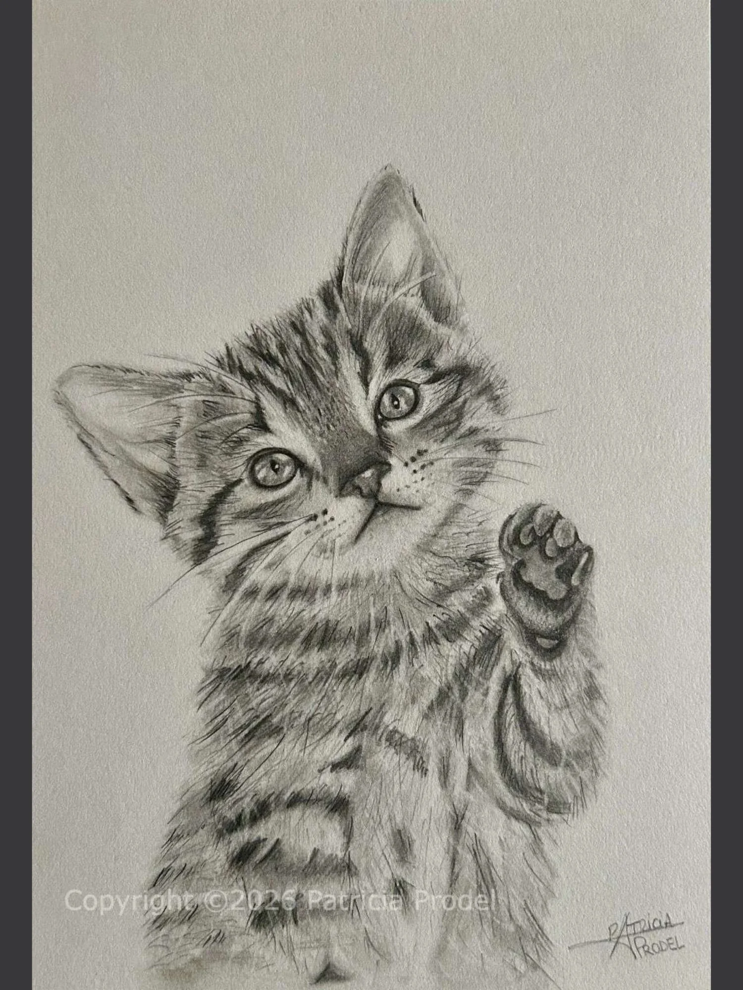 Petit chat