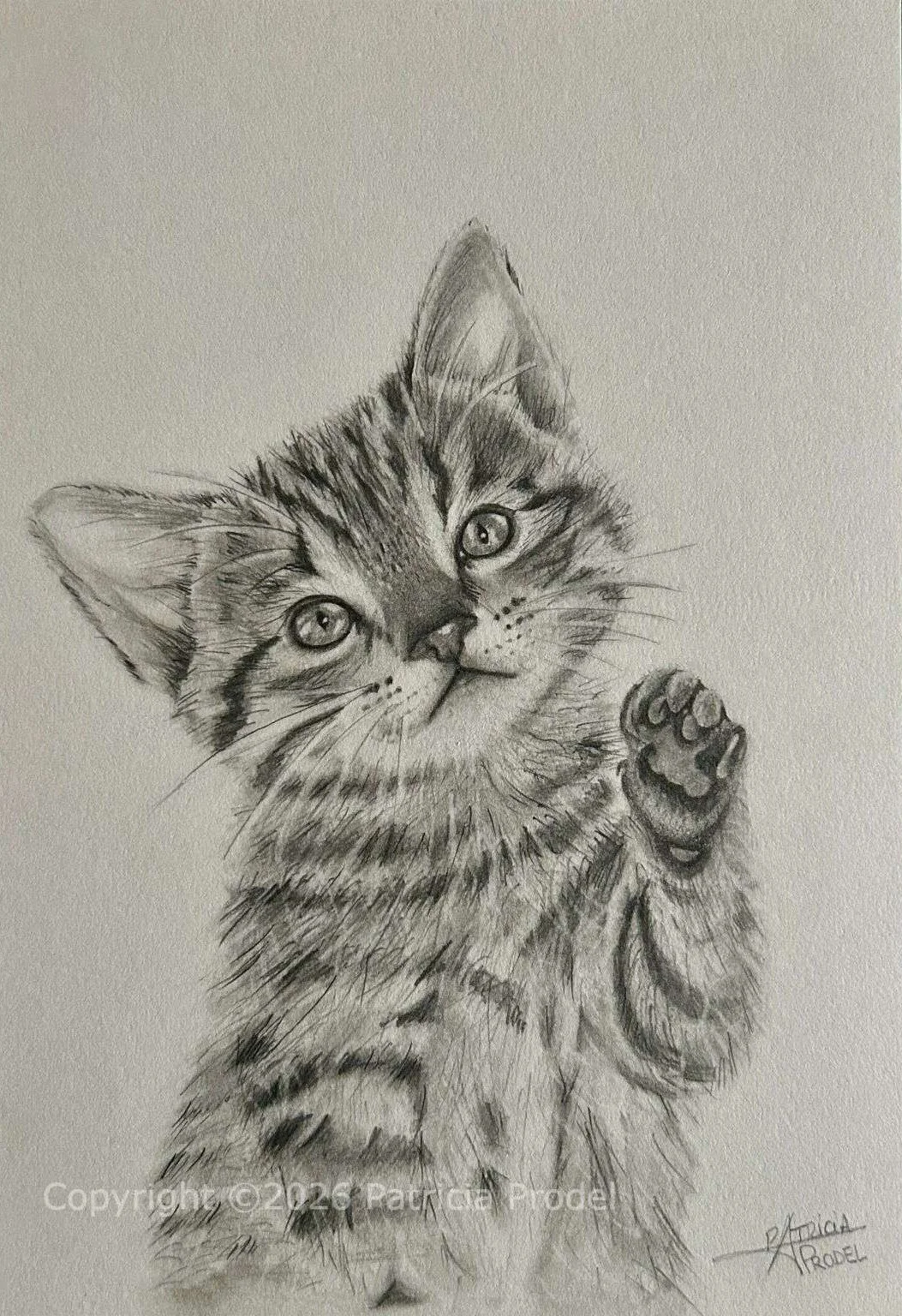 Petit chat 30x20,7 cadre 30x40 -170€-