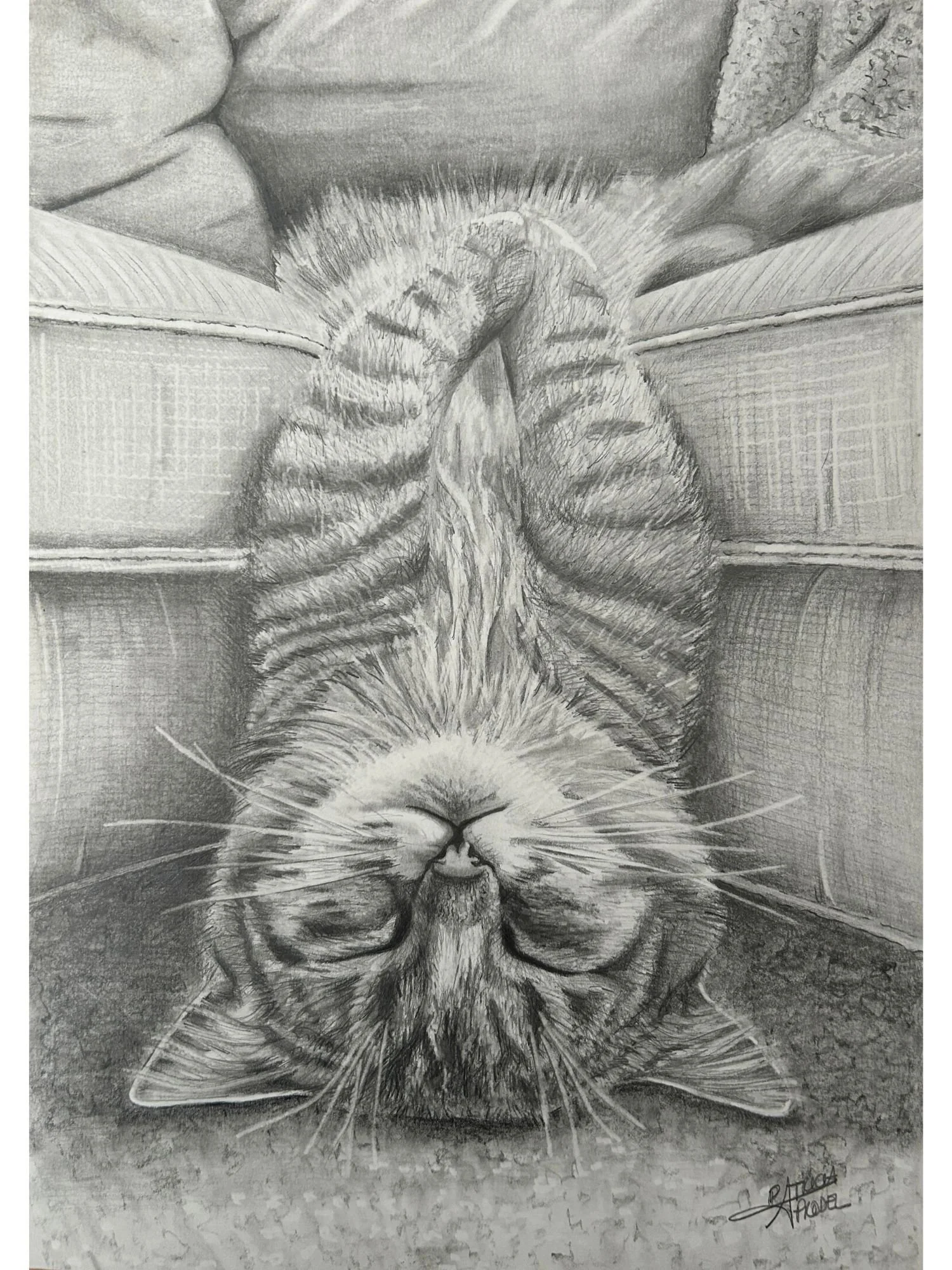 dessin-personnalise-fait-main-realiste-d-apres-photo-crayon-animal-portrait-chat-chaton-rigolo-chien-idee-cadeau-souvenir-artistique-famille-deuil.jpg