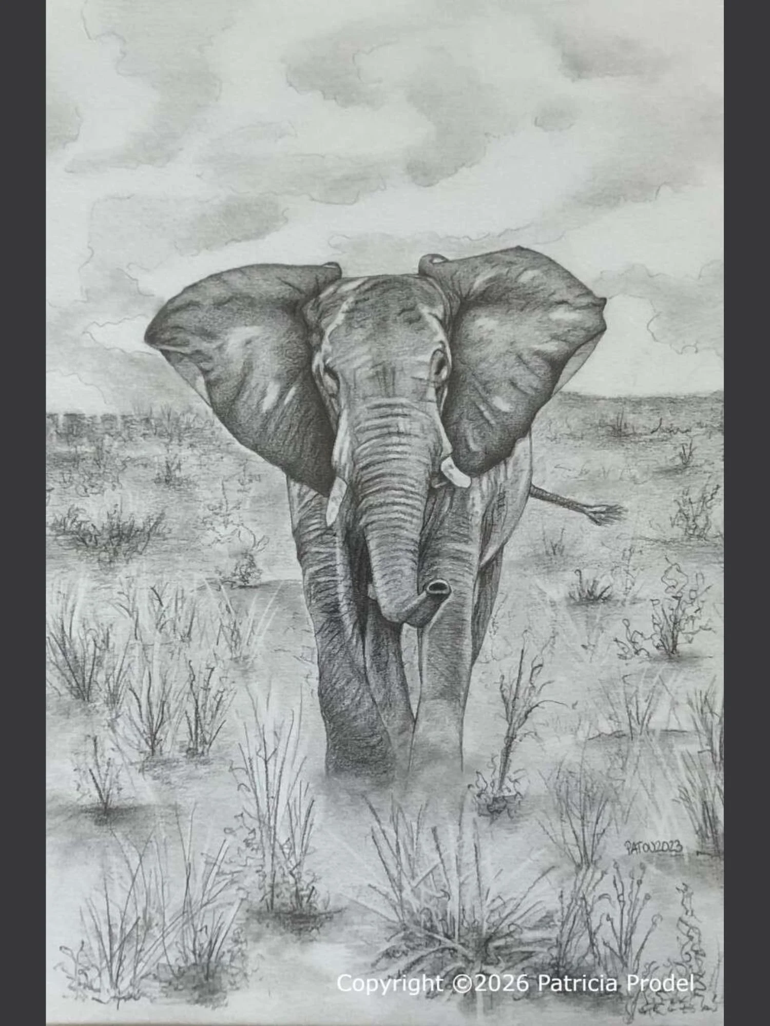 Eléphant