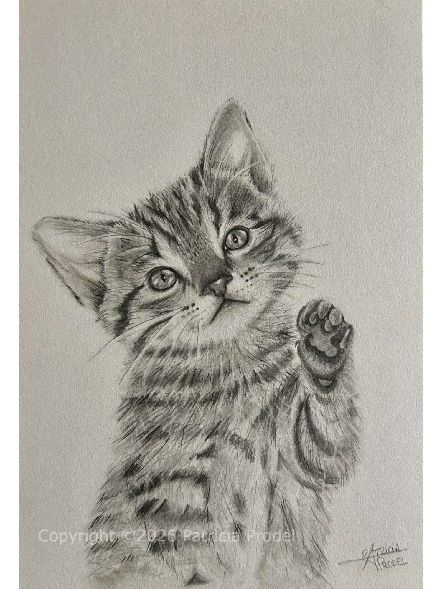 Petit chat