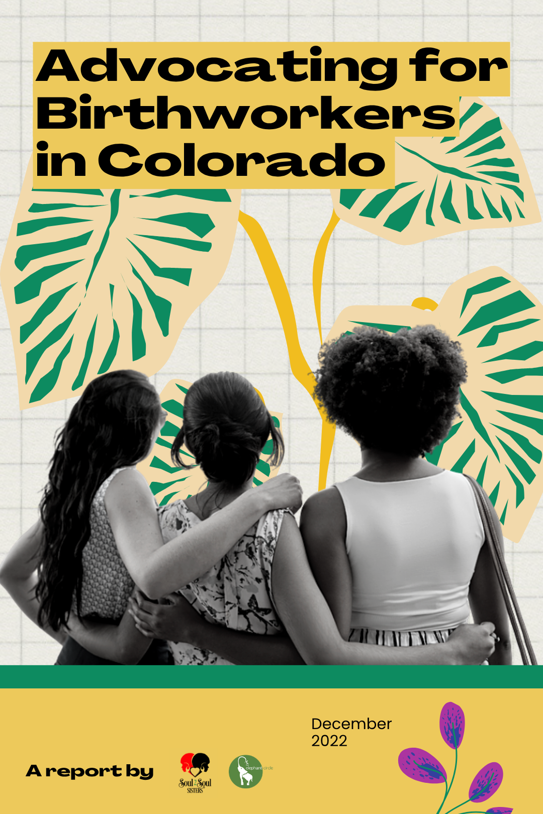 Advocating for Birthworkers in Colorado