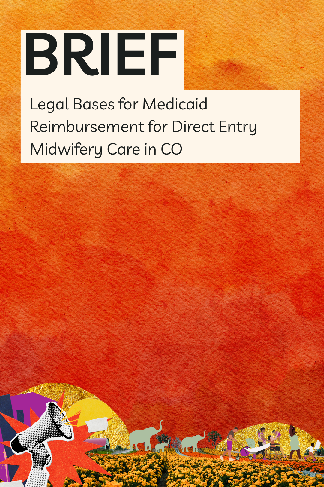 Brief - Legal Bases
