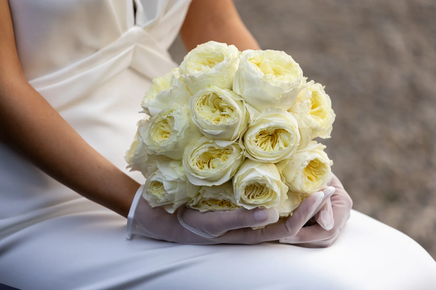 Cosimo Poggi Photographer© - [0019] - Cosimo Poggi Photographer© - [0308] - ASR56814.jpg