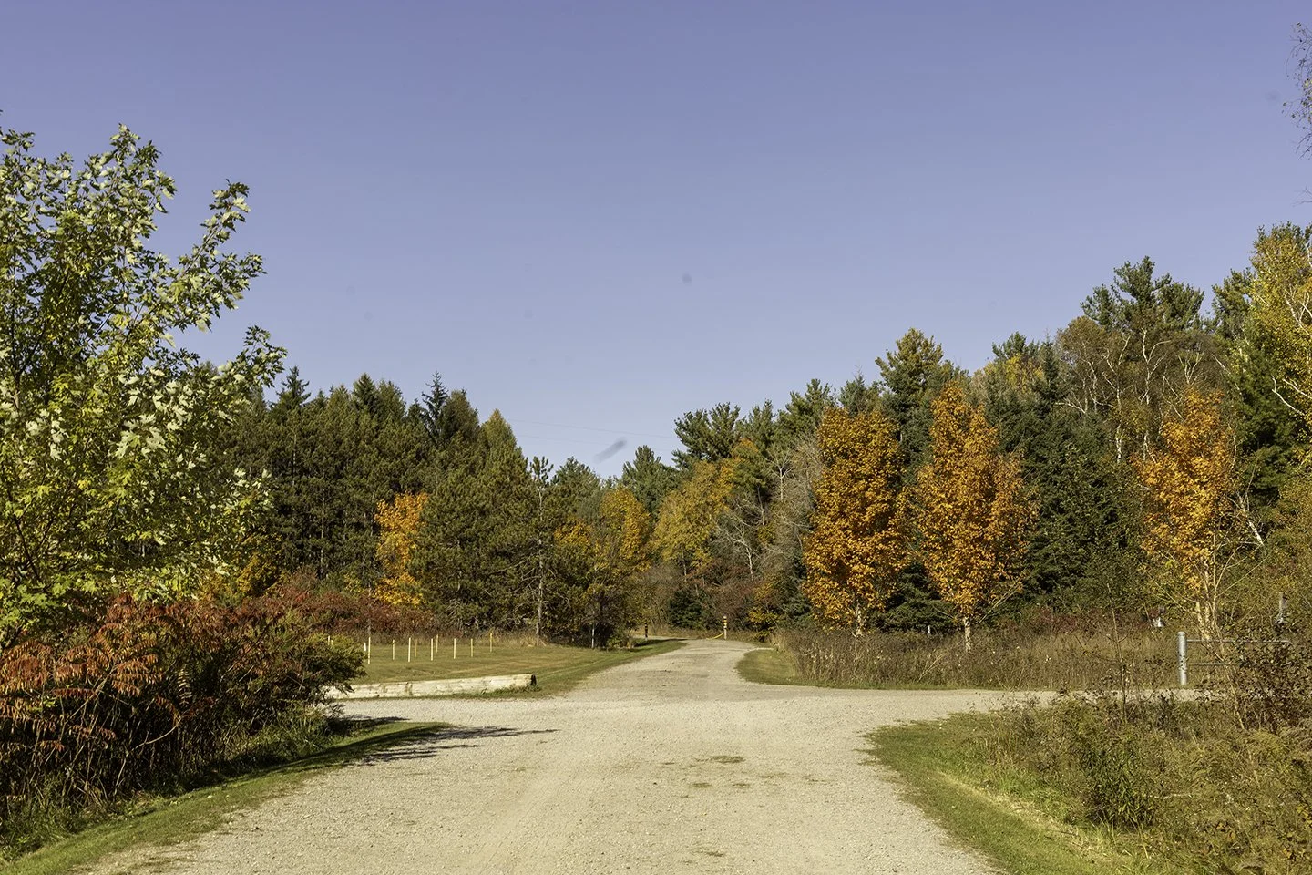 victoria_cardillo_mapping_08.jpg