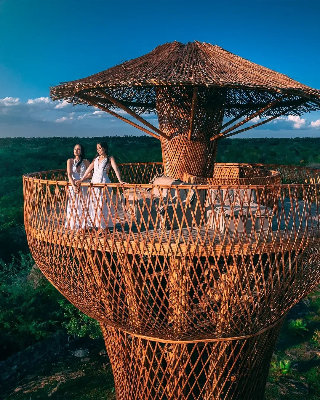 1080X1350.1 (1).webp