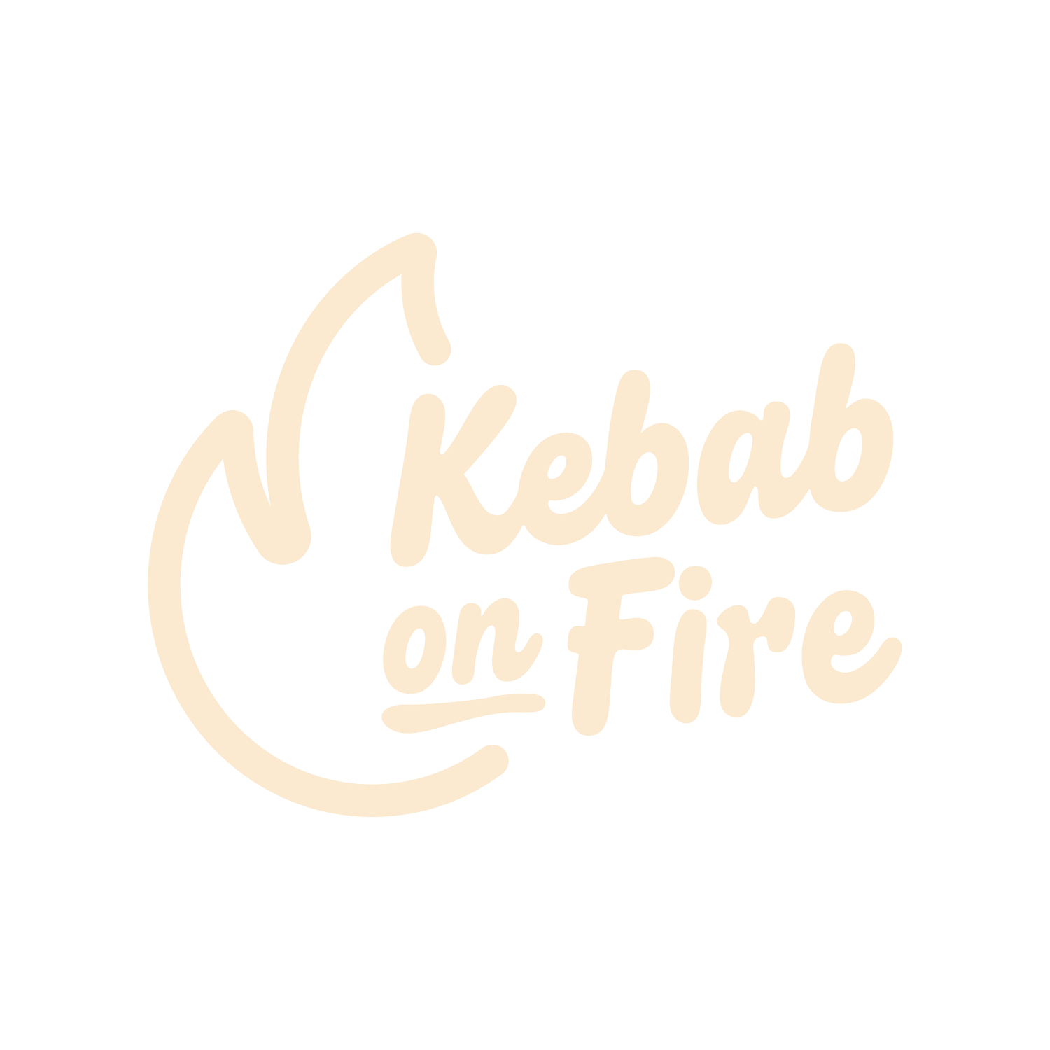 Kebab on Fire 🔥