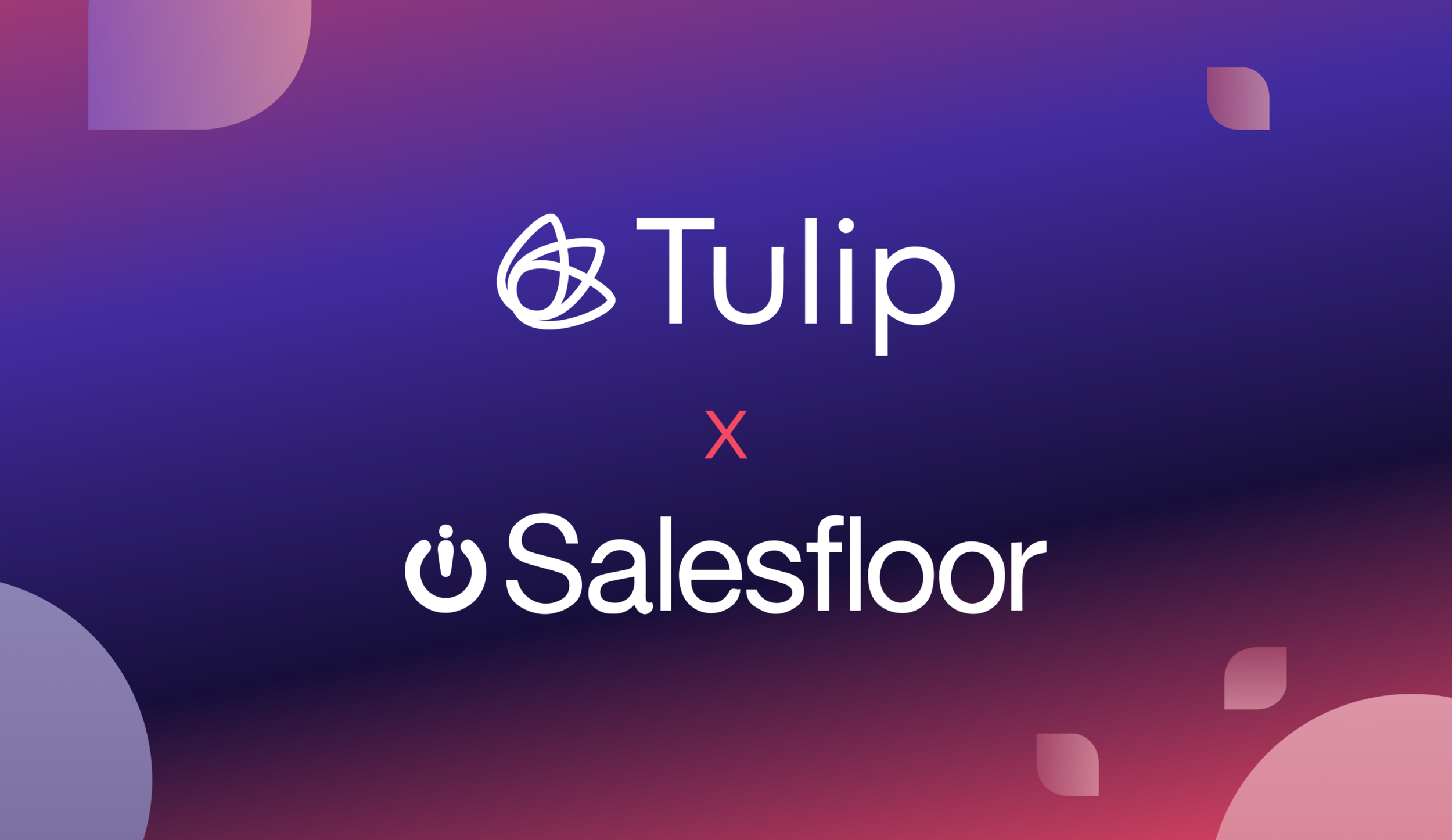 Relationships Triumph Over Product: Did Tulip Solve this?