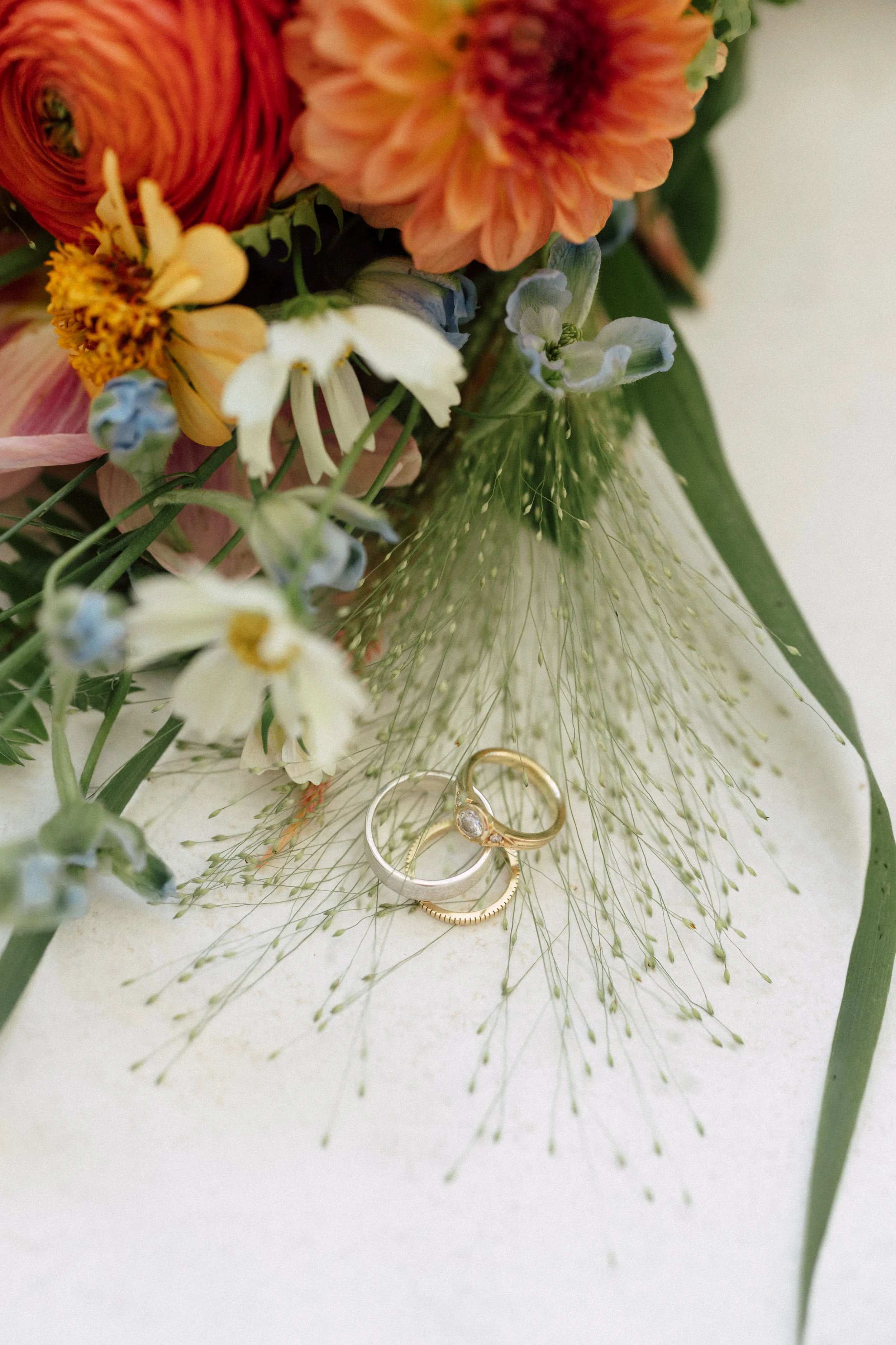 RyanElizabethPhotography-Amelia + Paul83025-28.jpg