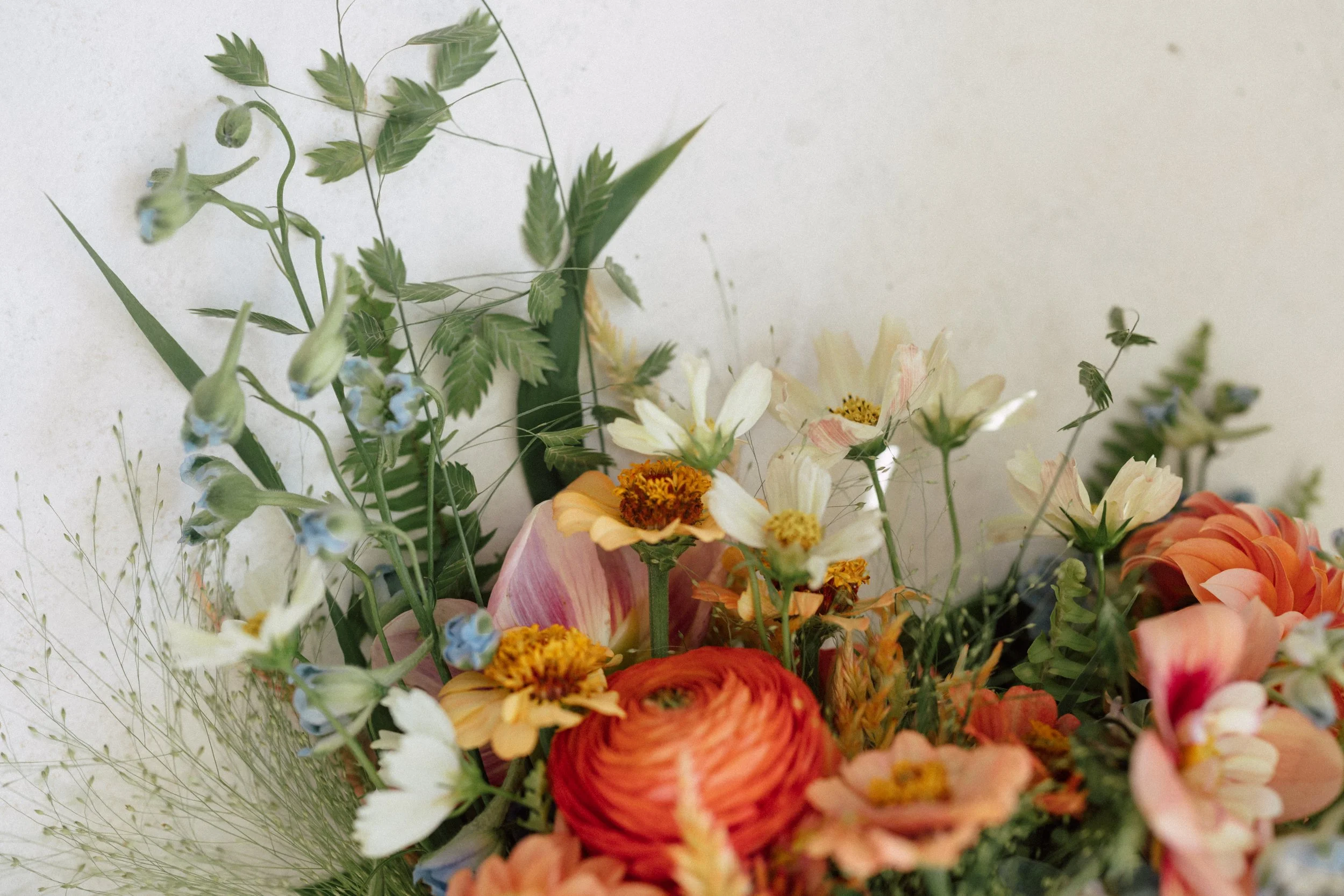 RyanElizabethPhotography-Amelia + Paul83025-27.jpg