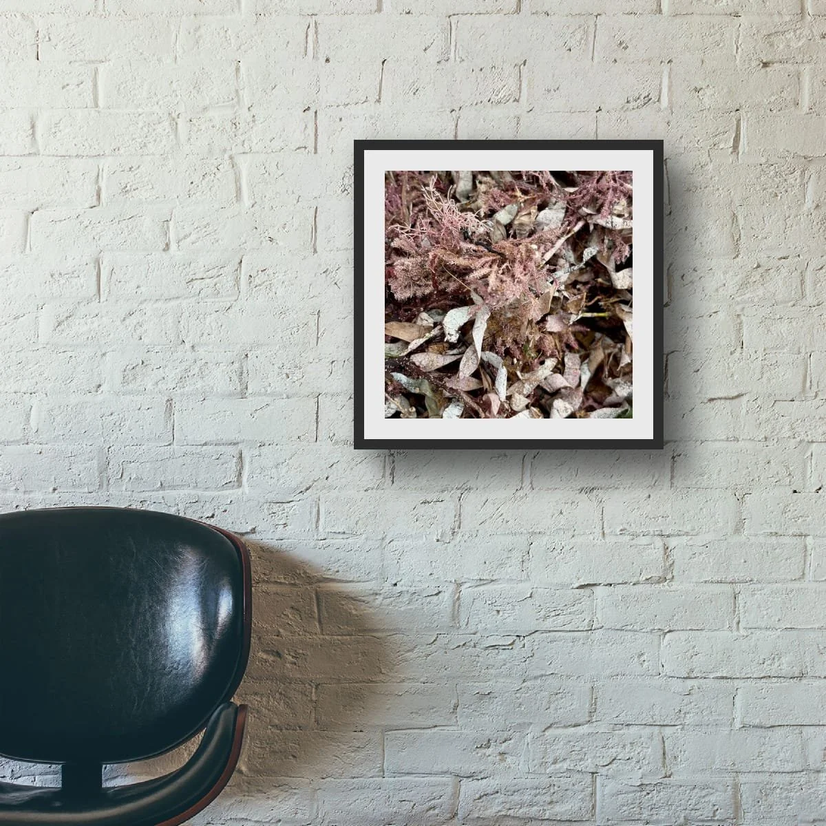 Framed print of Petal, a fine art print of seaweed in muted dusky pinks, on a whitewashed brick wall above a black leather chair.