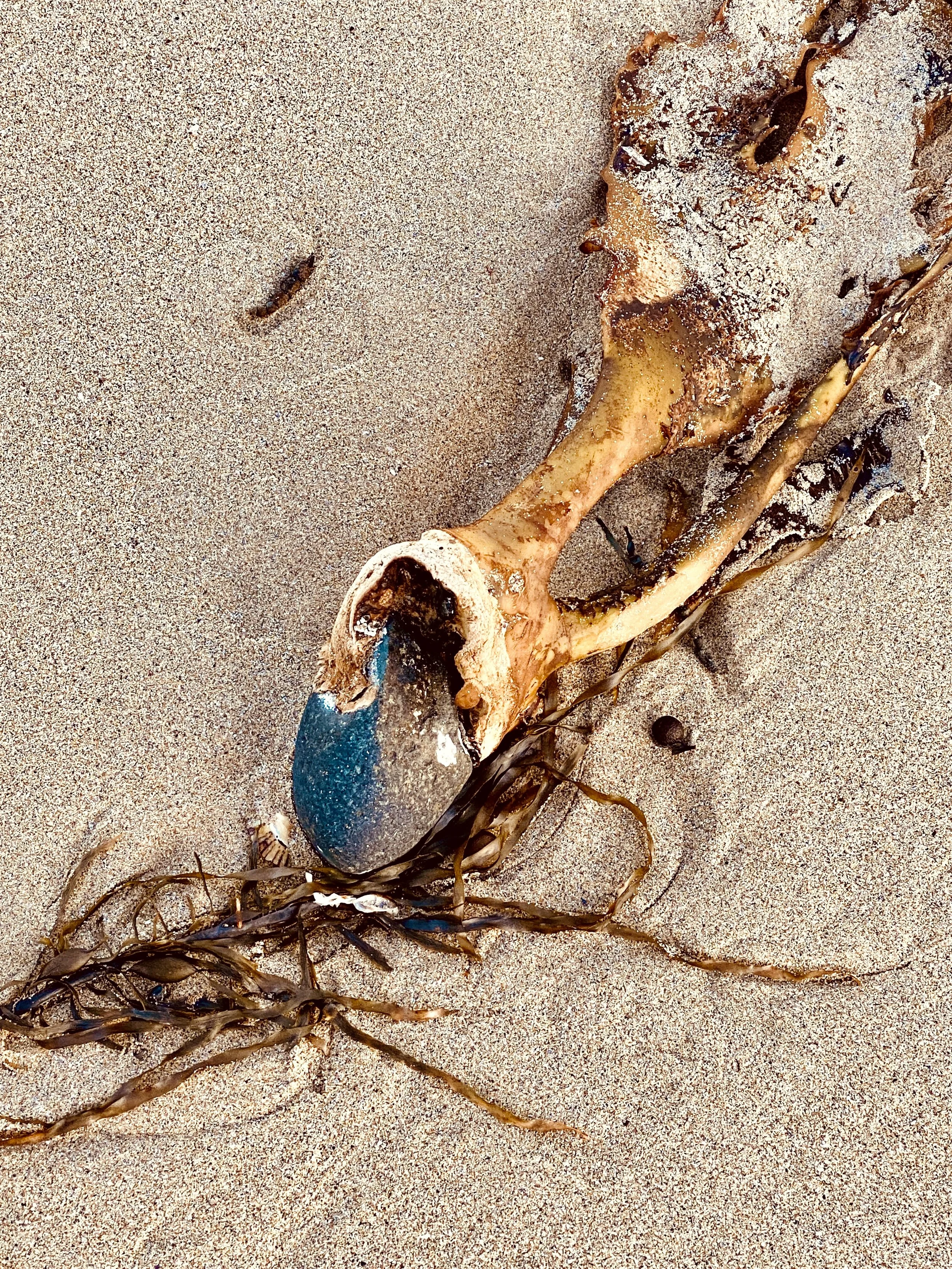 Sea's Keeping