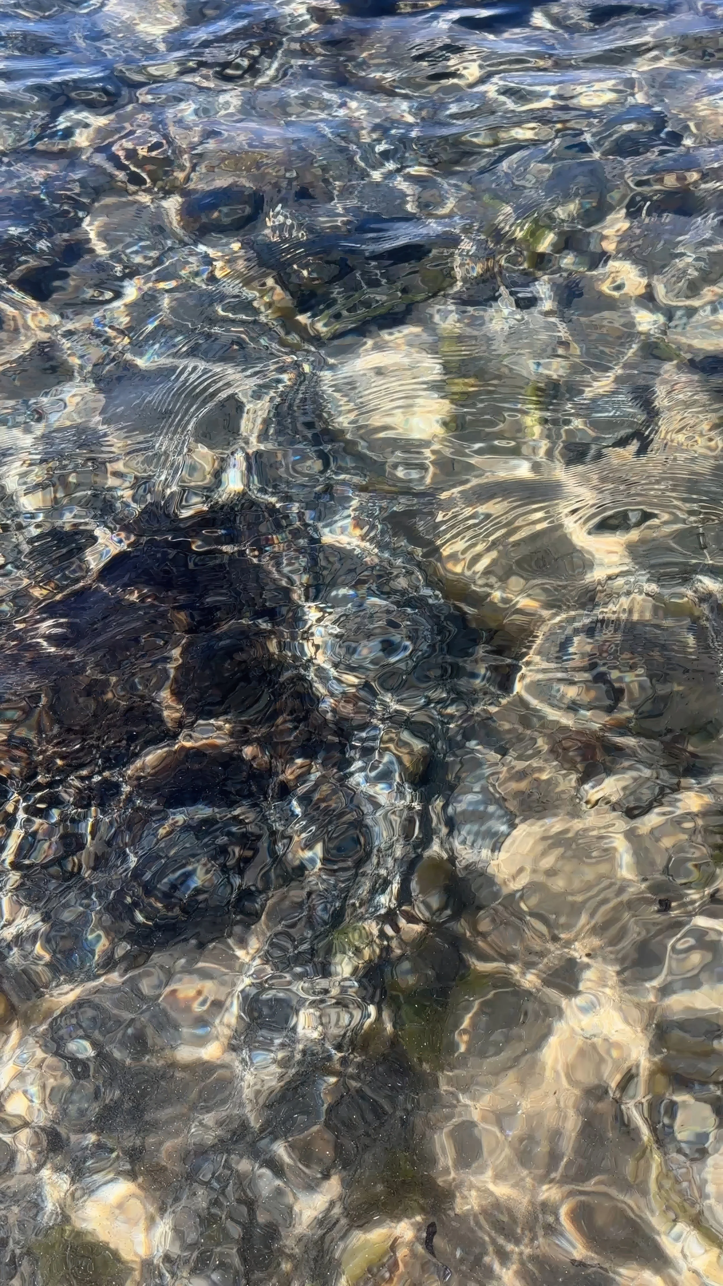 Purple Water Small-gigapixel-high fidelity v2-2.5x.jpeg