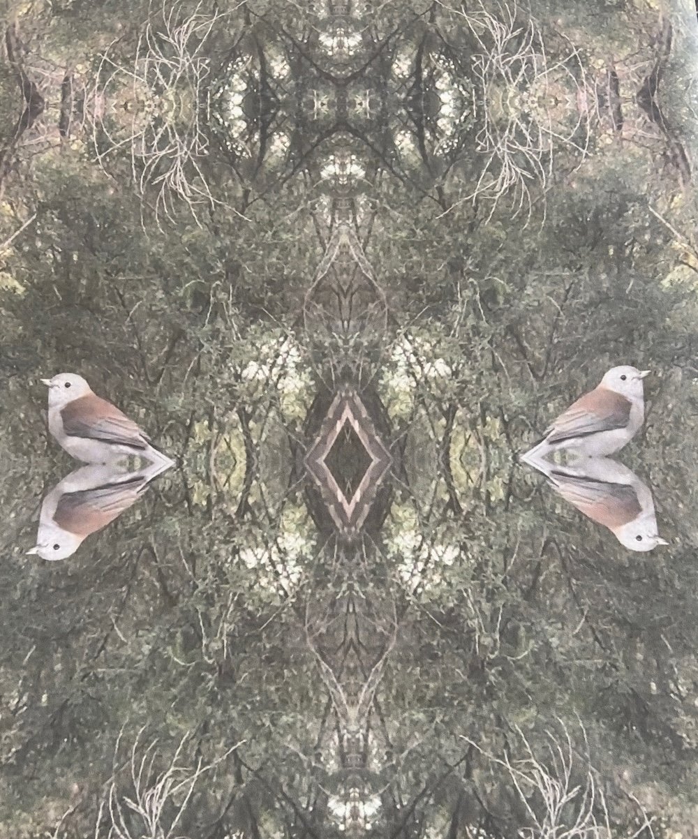 soft-bird-on-fabric.jpeg