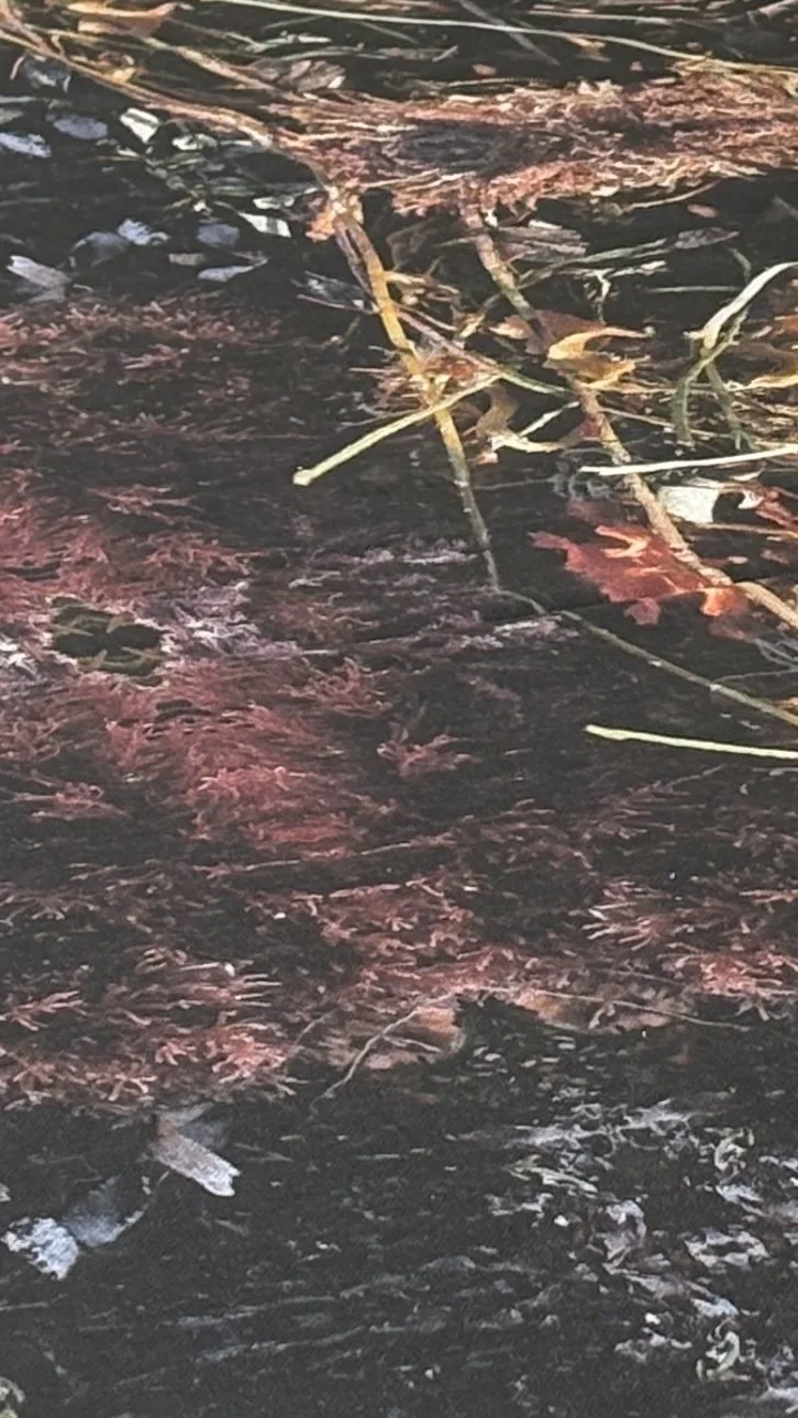 saltwoven-fabric-detail.jpeg