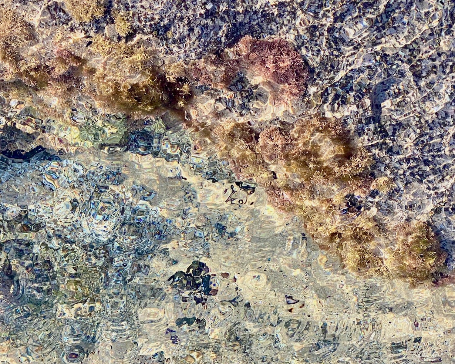 Shimmering Edge