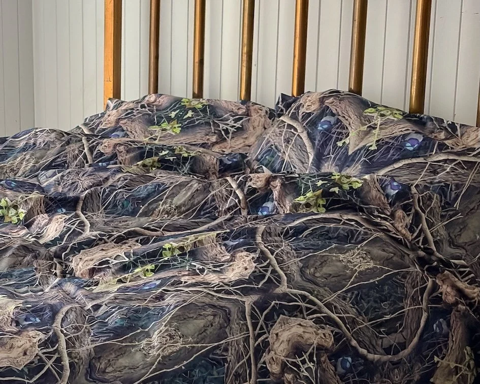 Blue-Wren-Doona-Cover.jpeg