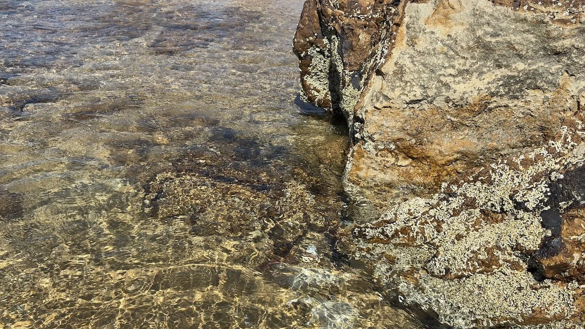 Mineral Water