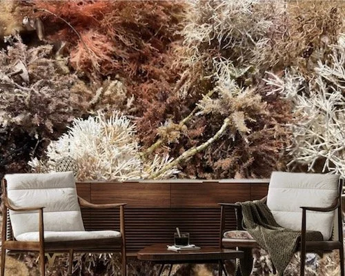 Interior scene with two modern chairs facing each other, a small table with a notebook and glasses, and a large  coastal themed mural of seaweed in earth tones on the wall.