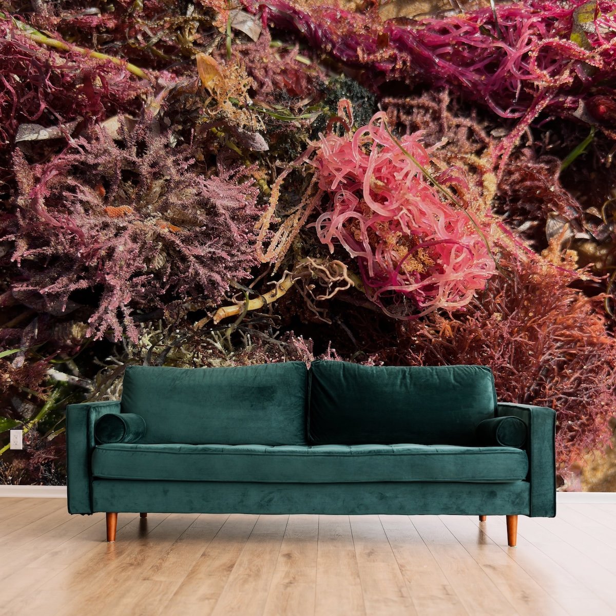 Shot of Pink Wallpaper by Artful Weave Velvet Couch Mockup.jpg