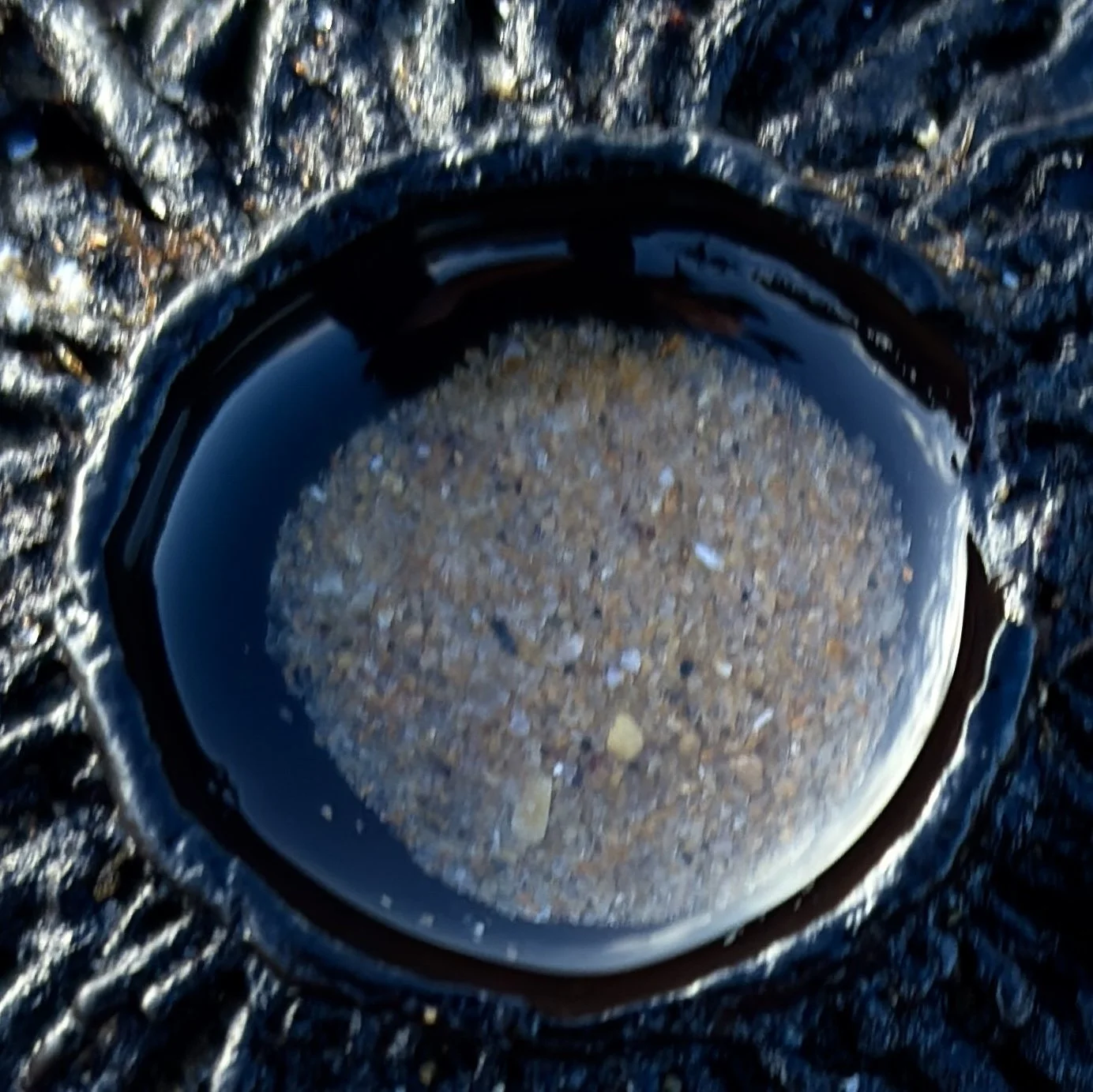 Close-up of a circular pool within a dark sea form, filled with sand and water, surrounded by glossy, radial organic textures.