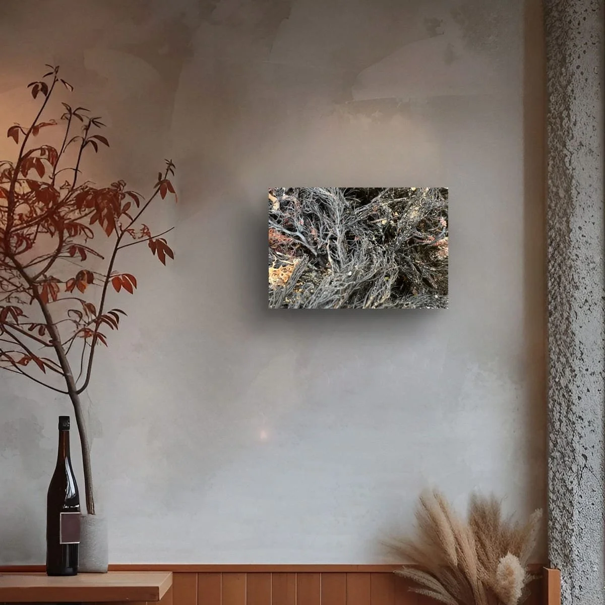 Seaweed artwork displayed on on a concrete wall in minimal interior, showing scale and placement as a small statement piece.